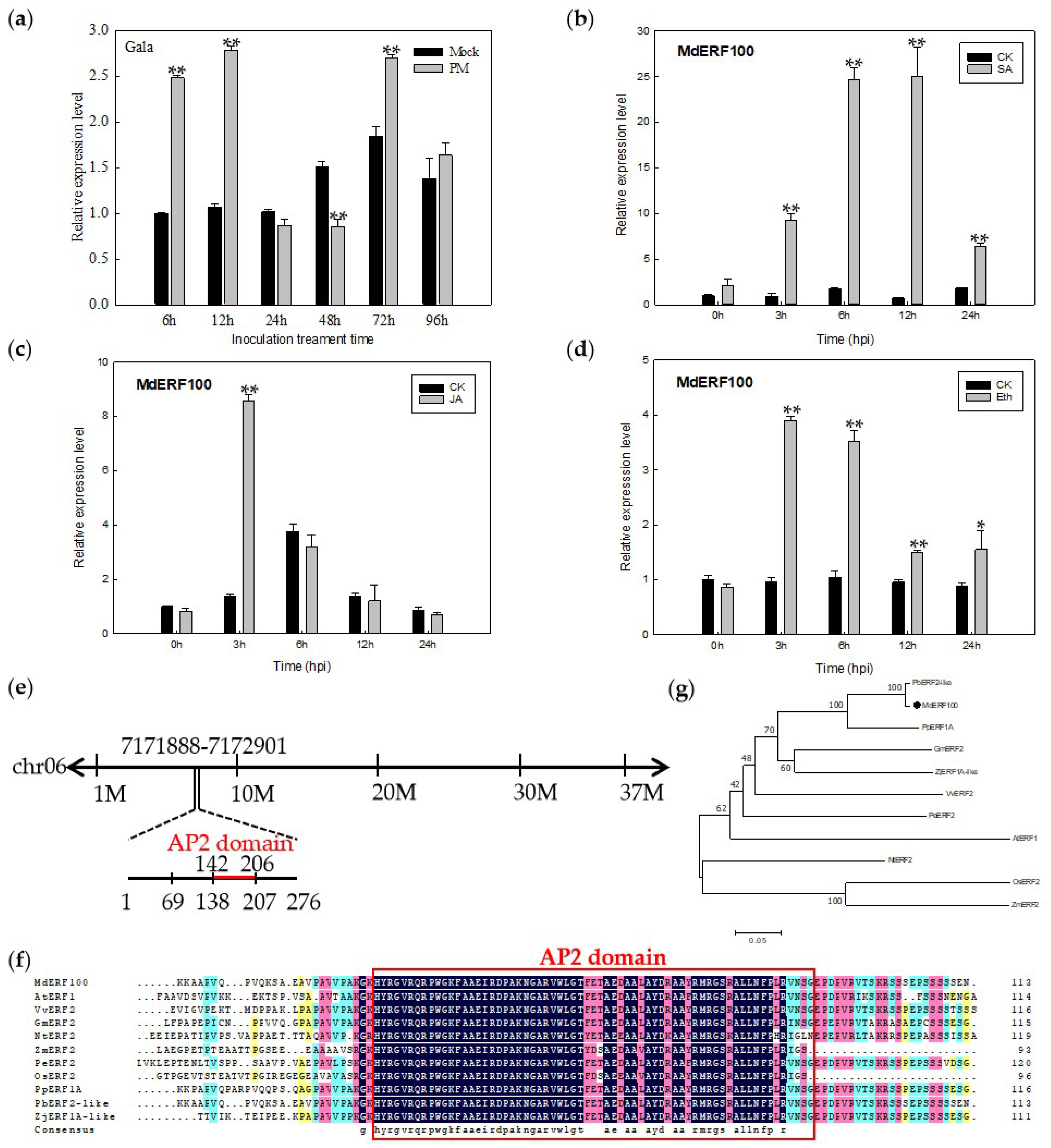 Ijms 22 05713 g001 Ijms 22 05713 g001