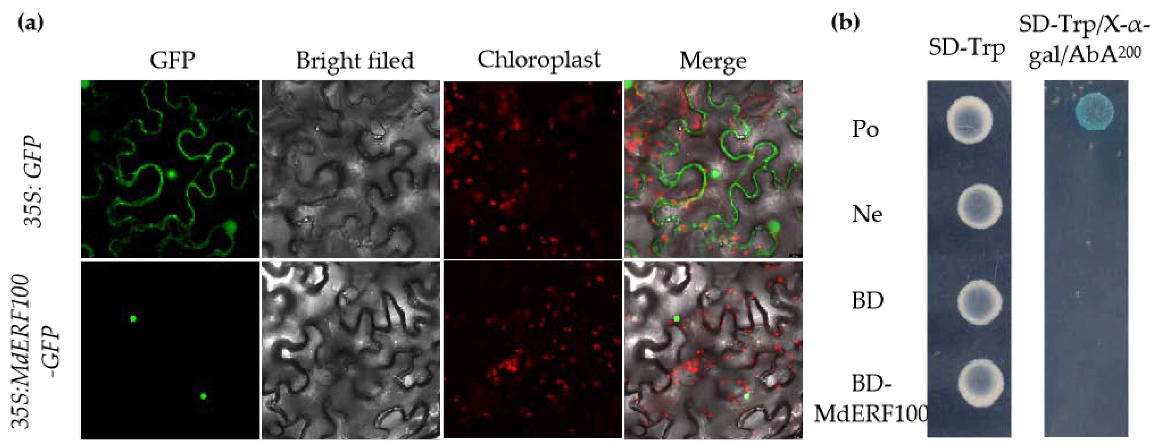 Ijms 22 05713 g002 Ijms 22 05713 g002