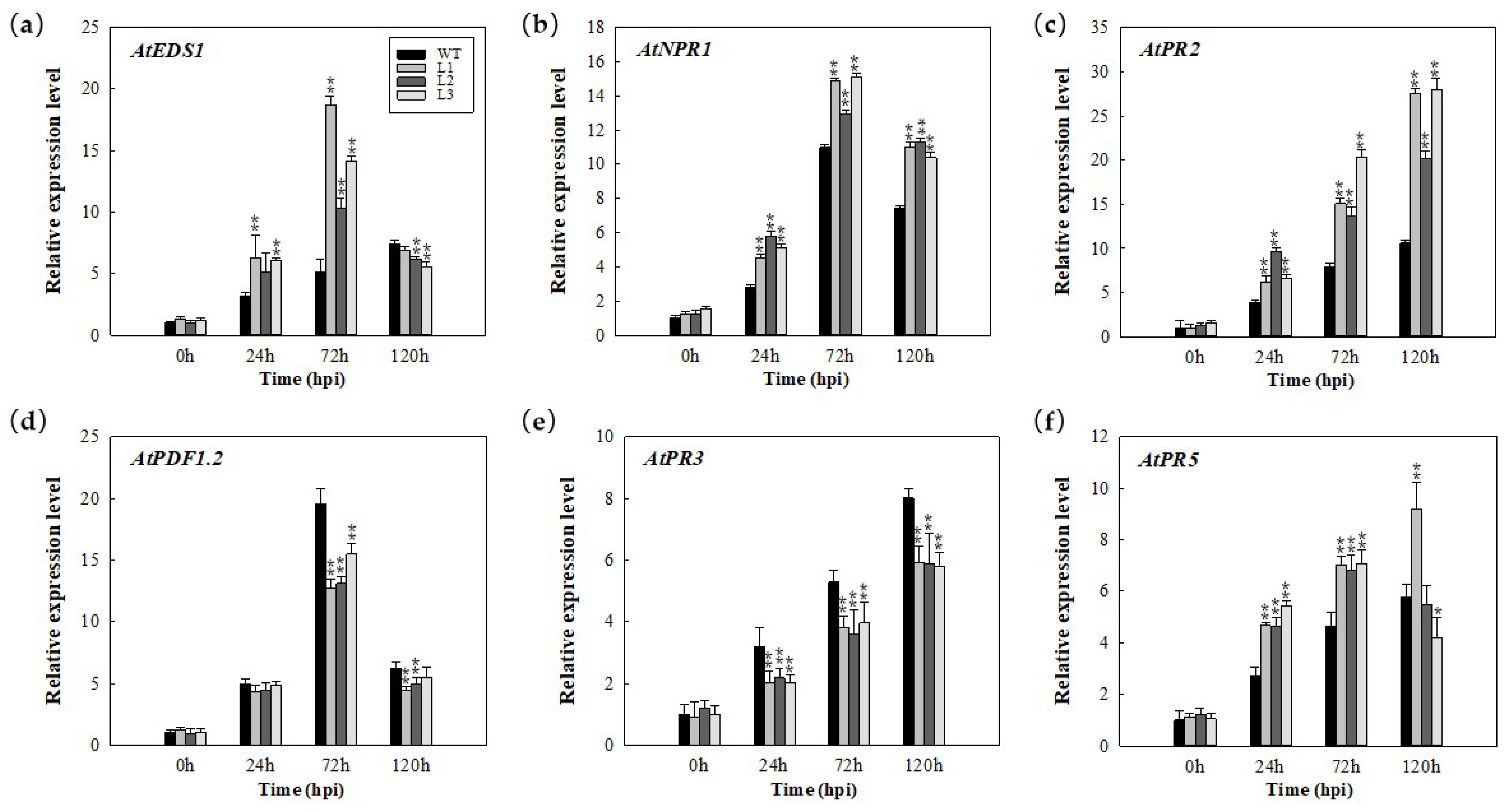 Ijms 22 05713 g004 Ijms 22 05713 g004