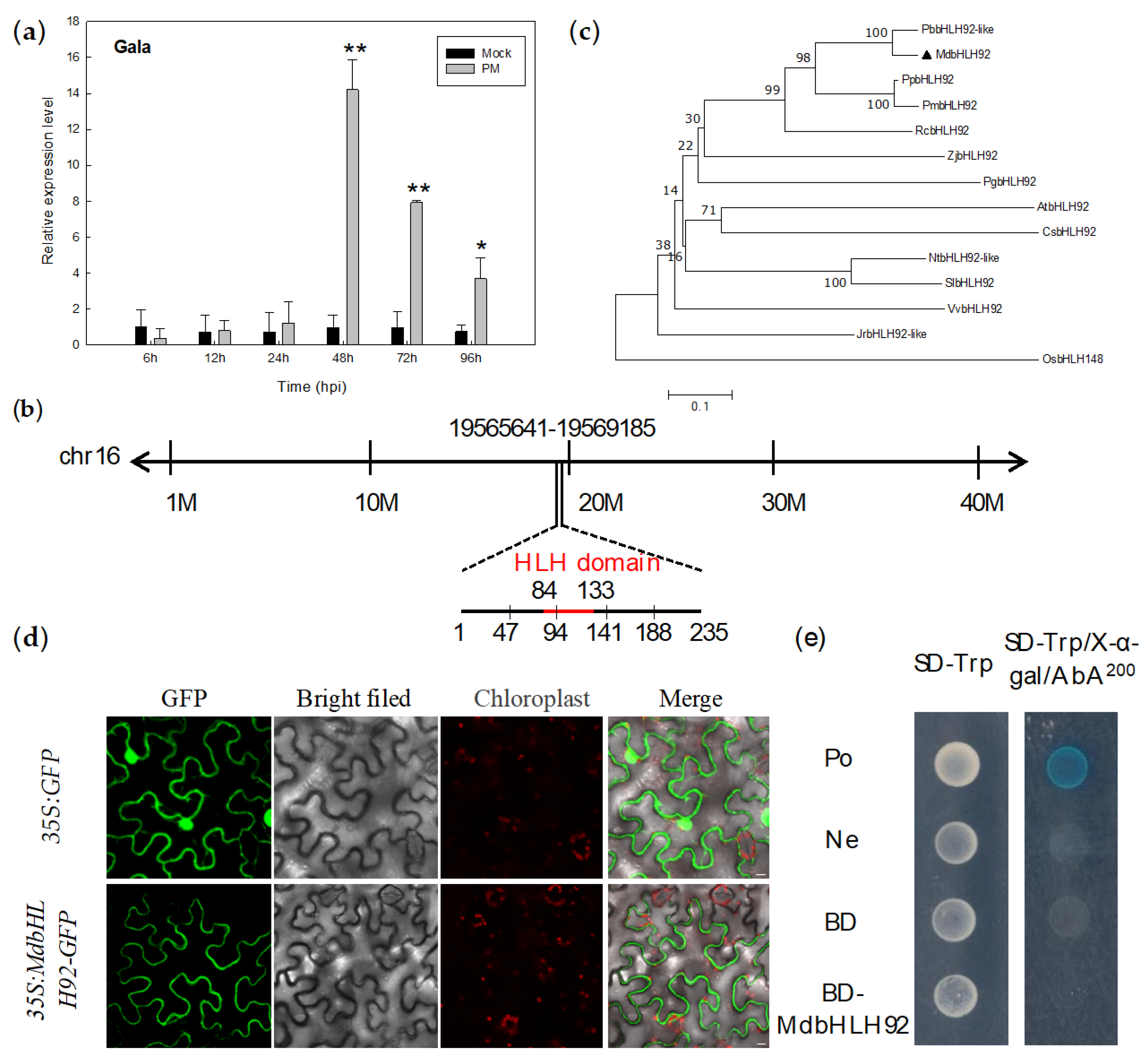Ijms 22 05713 g006 Ijms 22 05713 g006