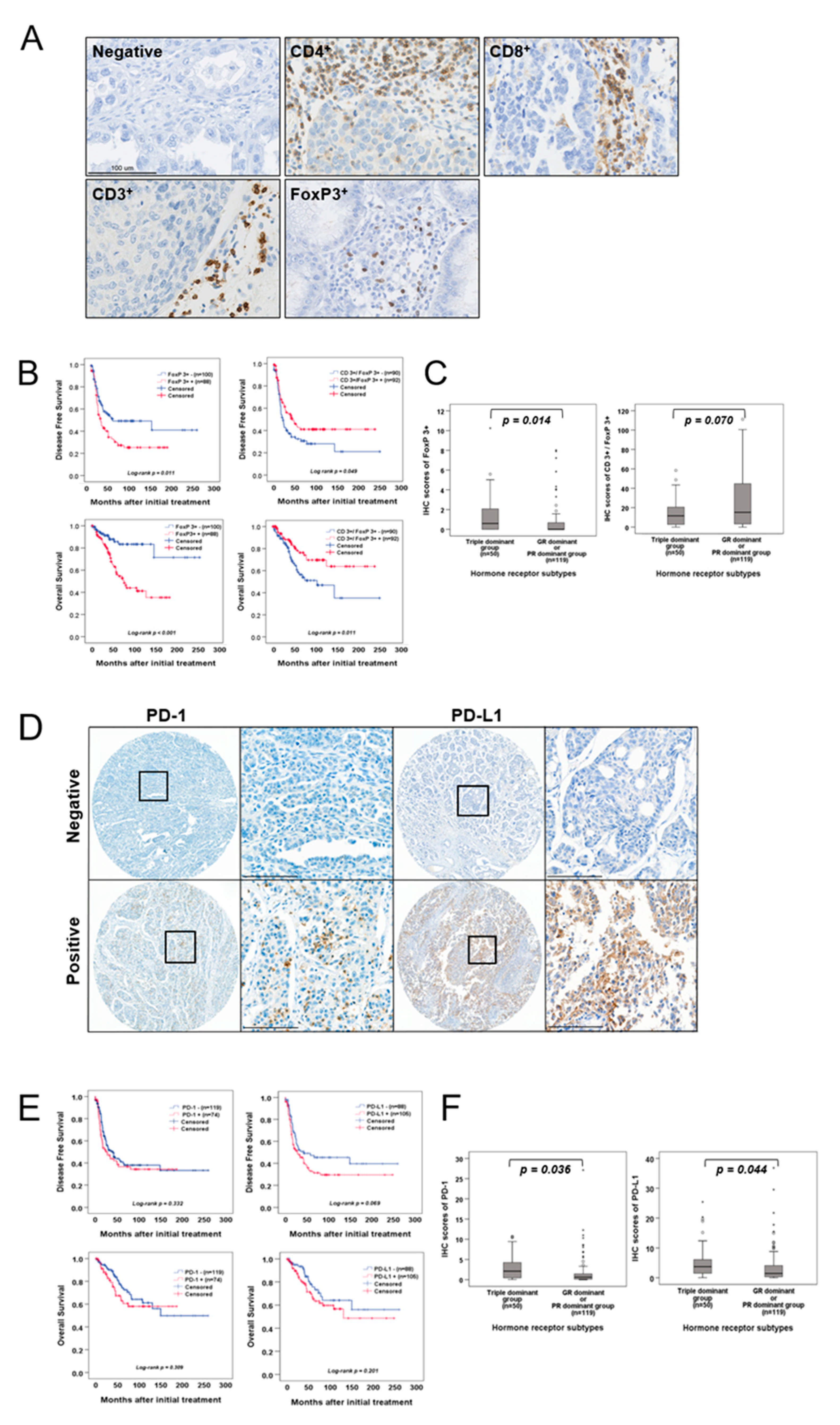 Ijms 22 05714 g003 Ijms 22 05714 g003