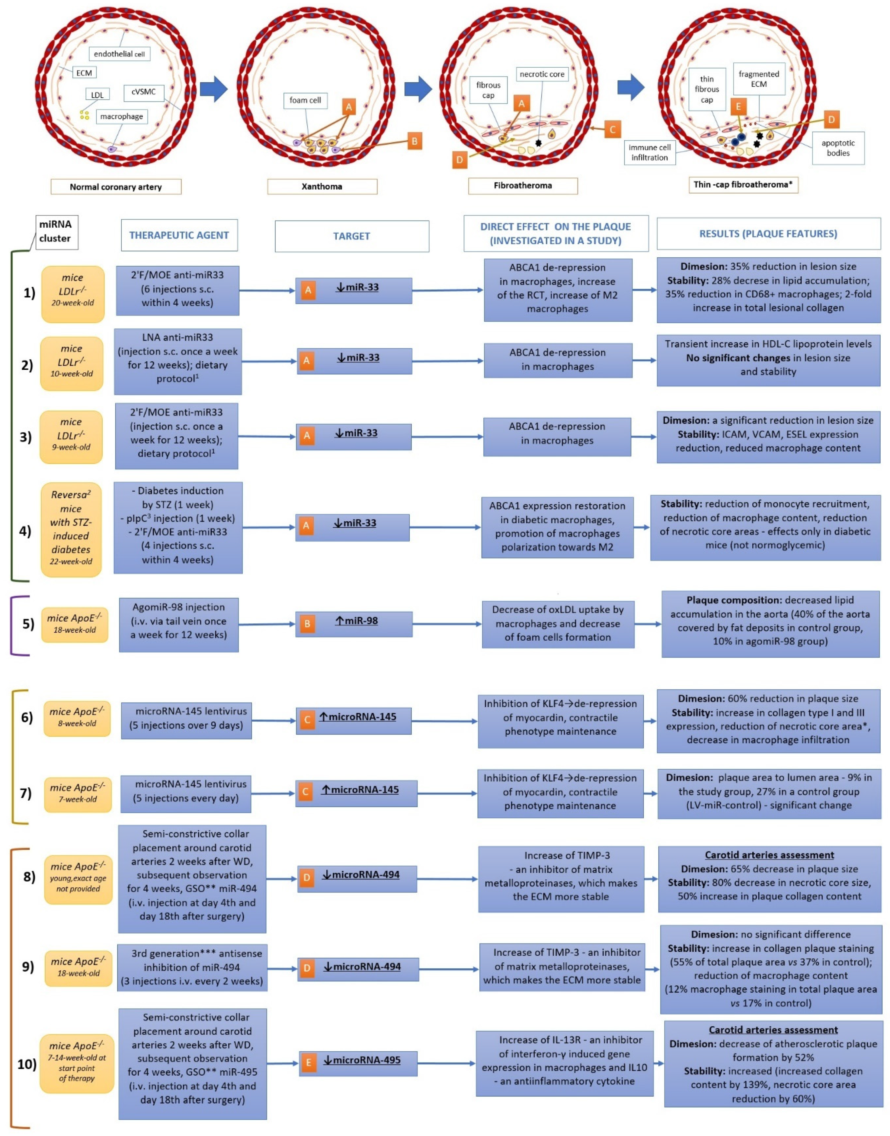 Ijms 22 05718 g002 Ijms 22 05718 g002