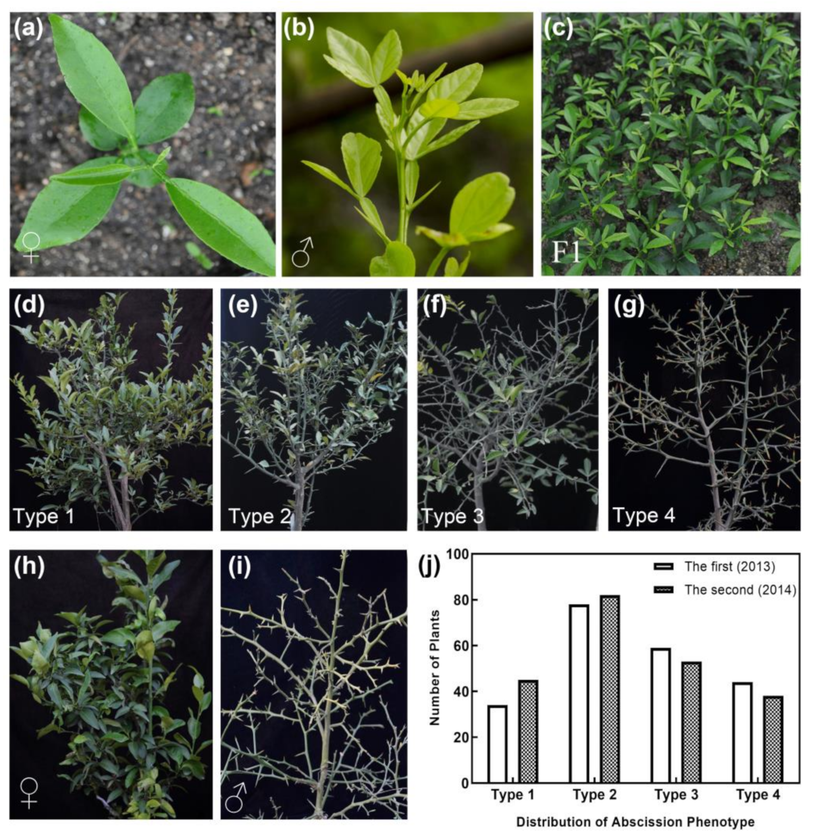 Ijms 22 05723 g002 Ijms 22 05723 g002