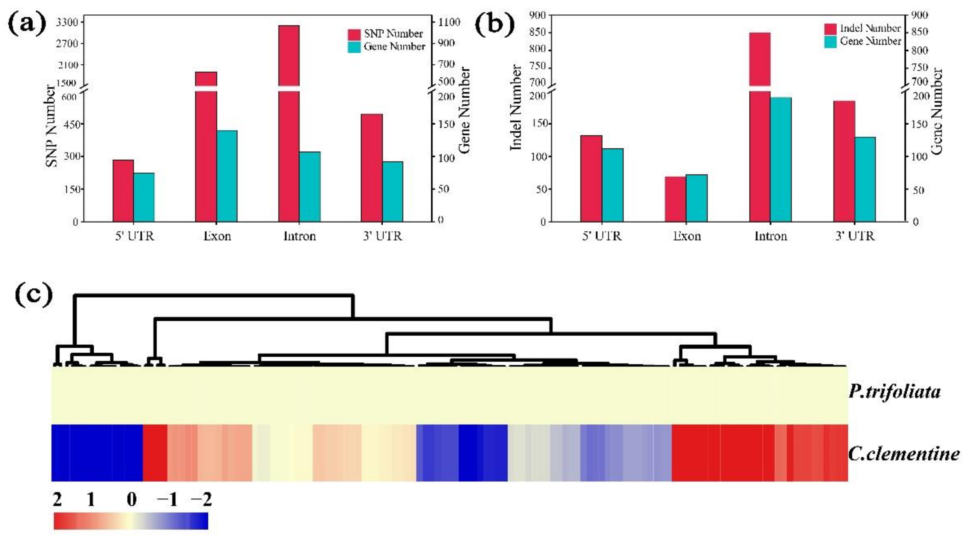 Ijms 22 05723 g009 Ijms 22 05723 g009