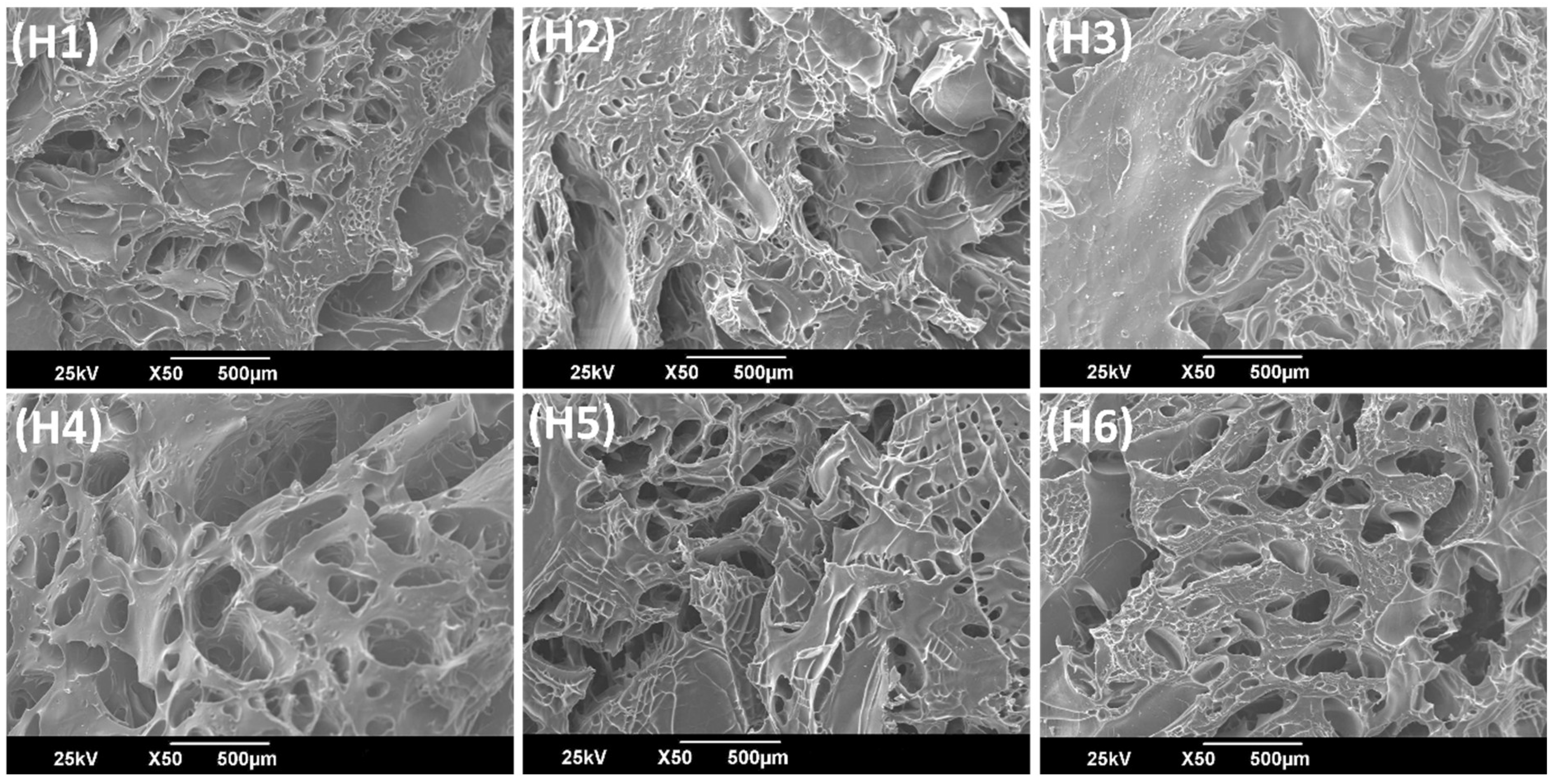 Ijms 22 05730 g003 Ijms 22 05730 g003