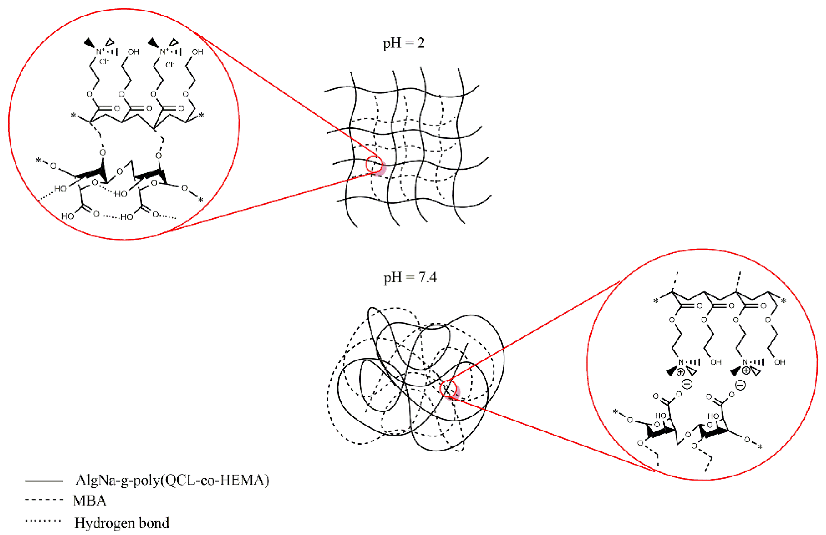 Ijms 22 05730 g005 Ijms 22 05730 g005