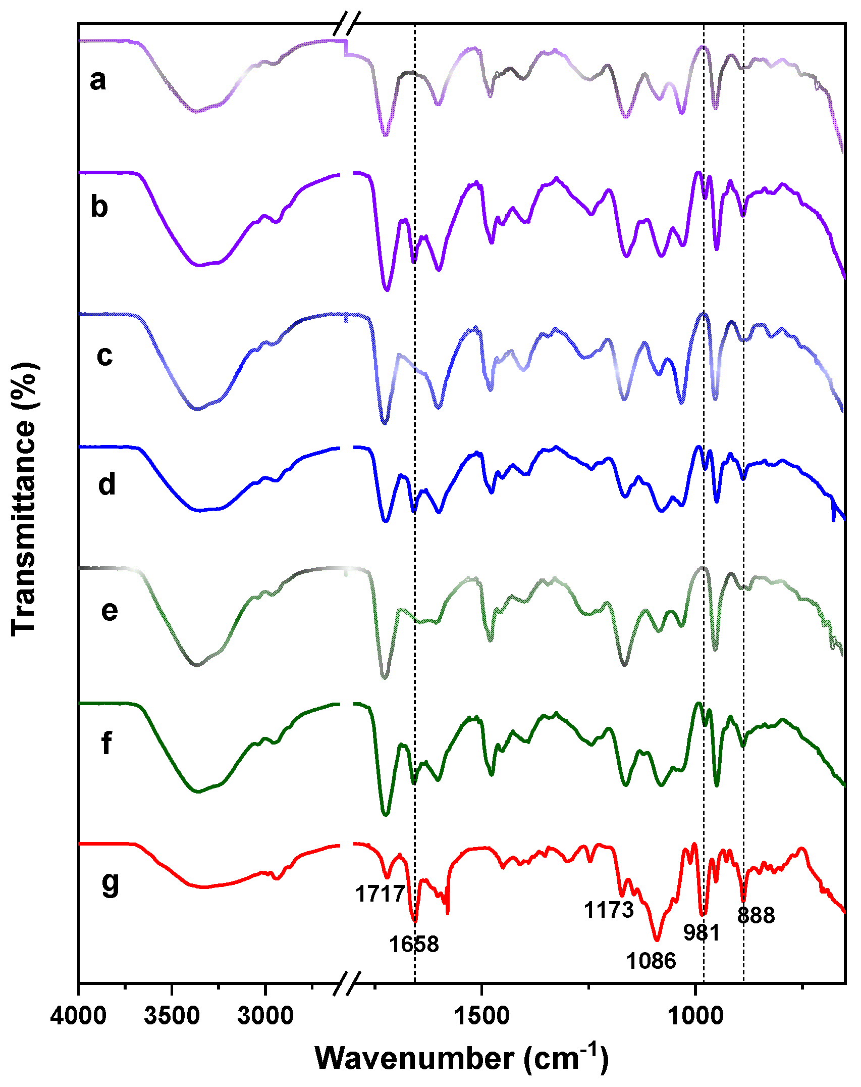 Ijms 22 05730 g006 Ijms 22 05730 g006