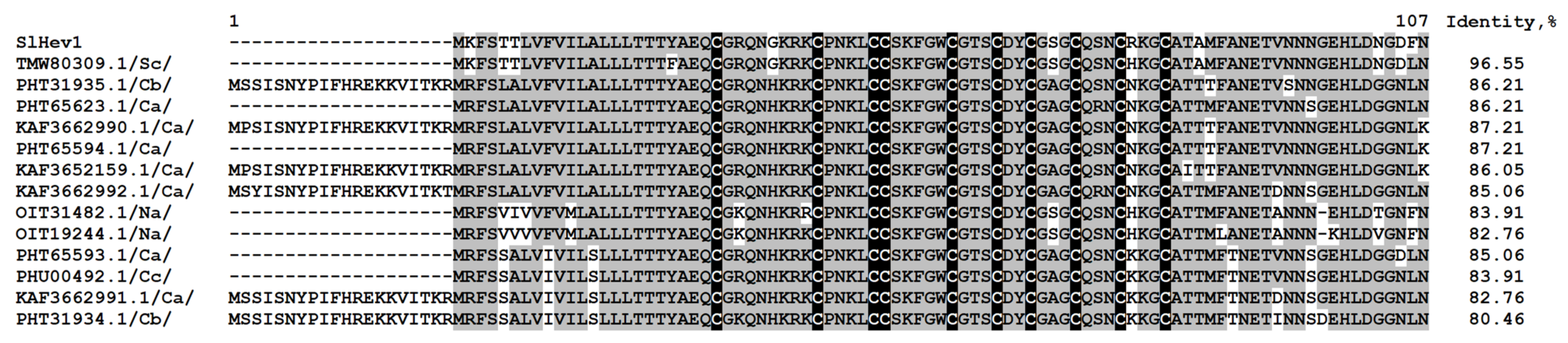 Ijms 22 05741 g008 Ijms 22 05741 g008