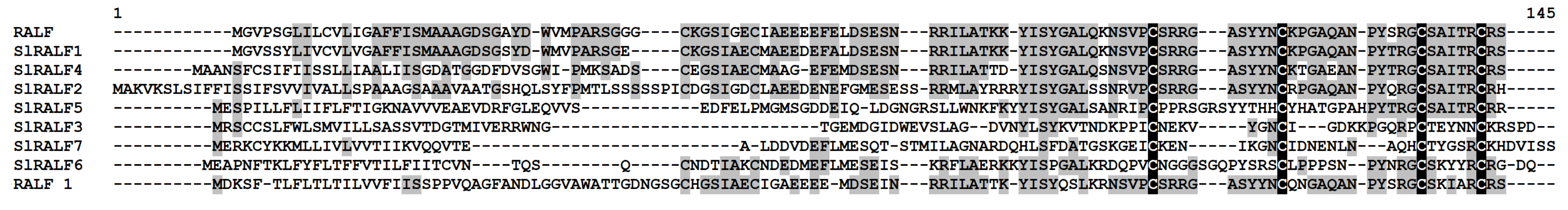 Ijms 22 05741 g011 Ijms 22 05741 g011