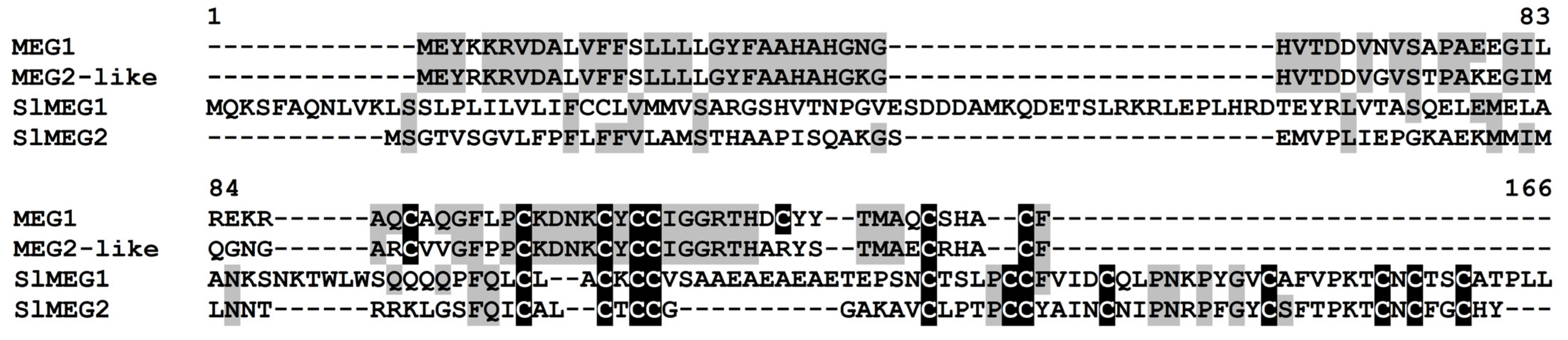 Ijms 22 05741 g012 Ijms 22 05741 g012