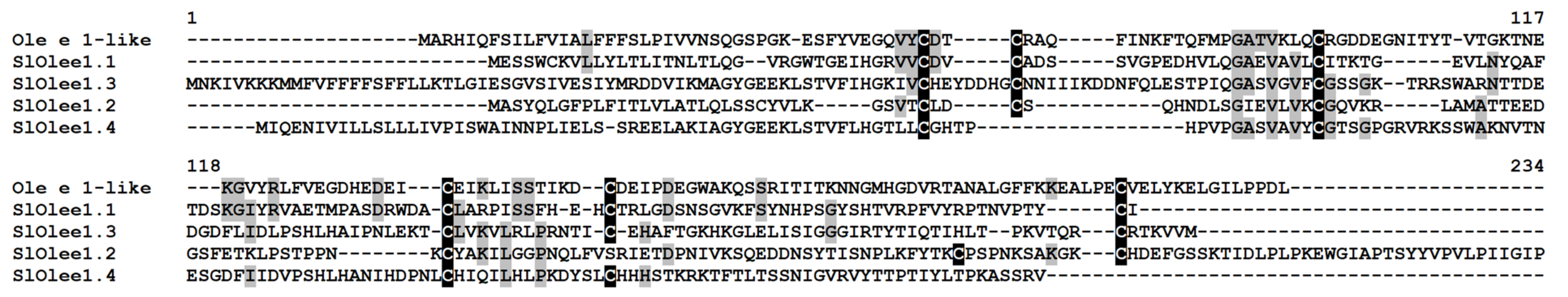 Ijms 22 05741 g013 Ijms 22 05741 g013