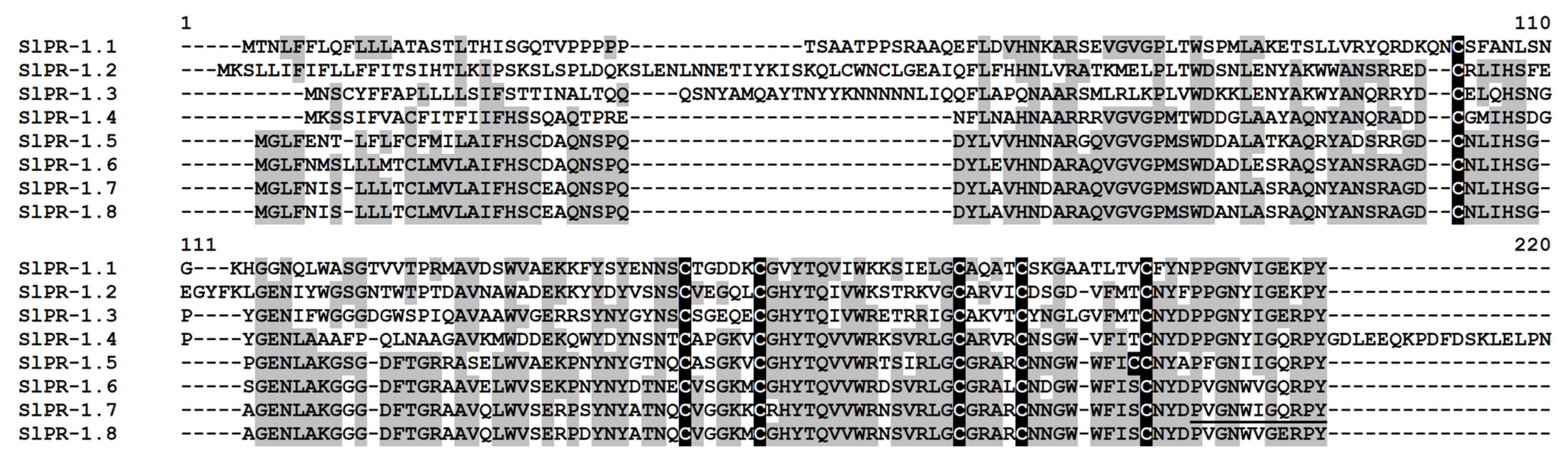 Ijms 22 05741 g016 Ijms 22 05741 g016