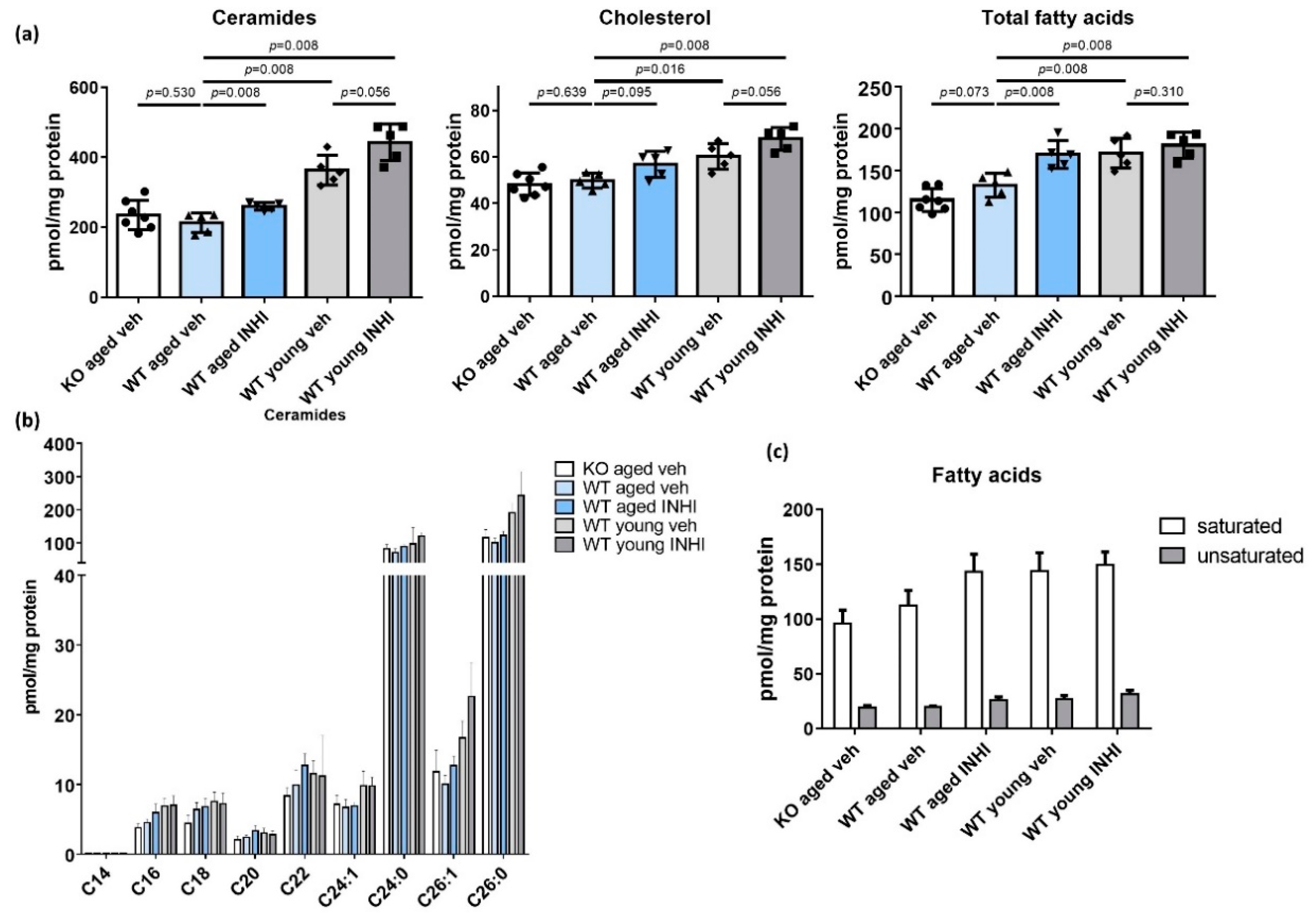 Ijms 22 05750 g006 Ijms 22 05750 g006