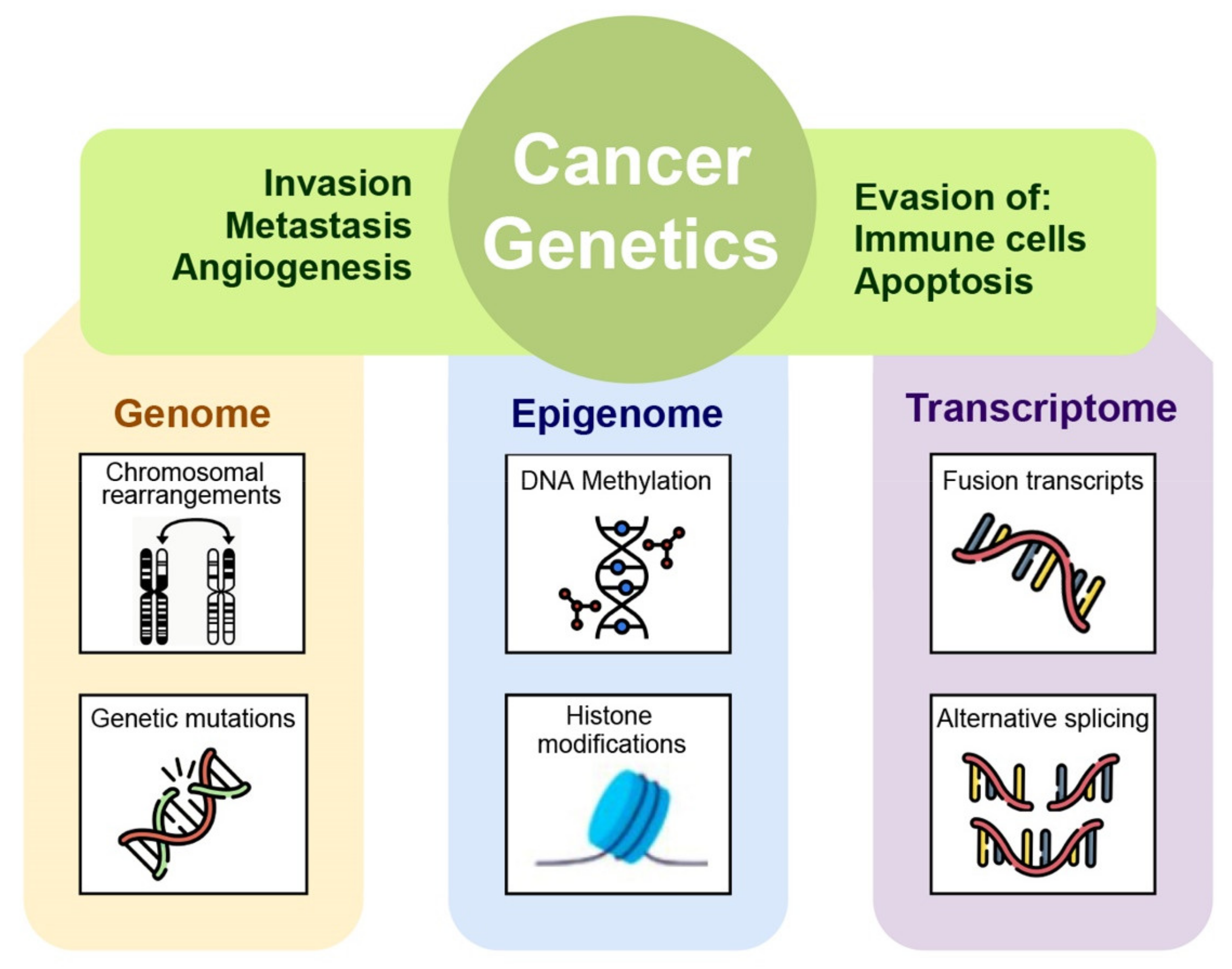 Frontiers  Artificial Intelligence Can Cut Costs While Maintaining  Accuracy in Colorectal Cancer Genotyping