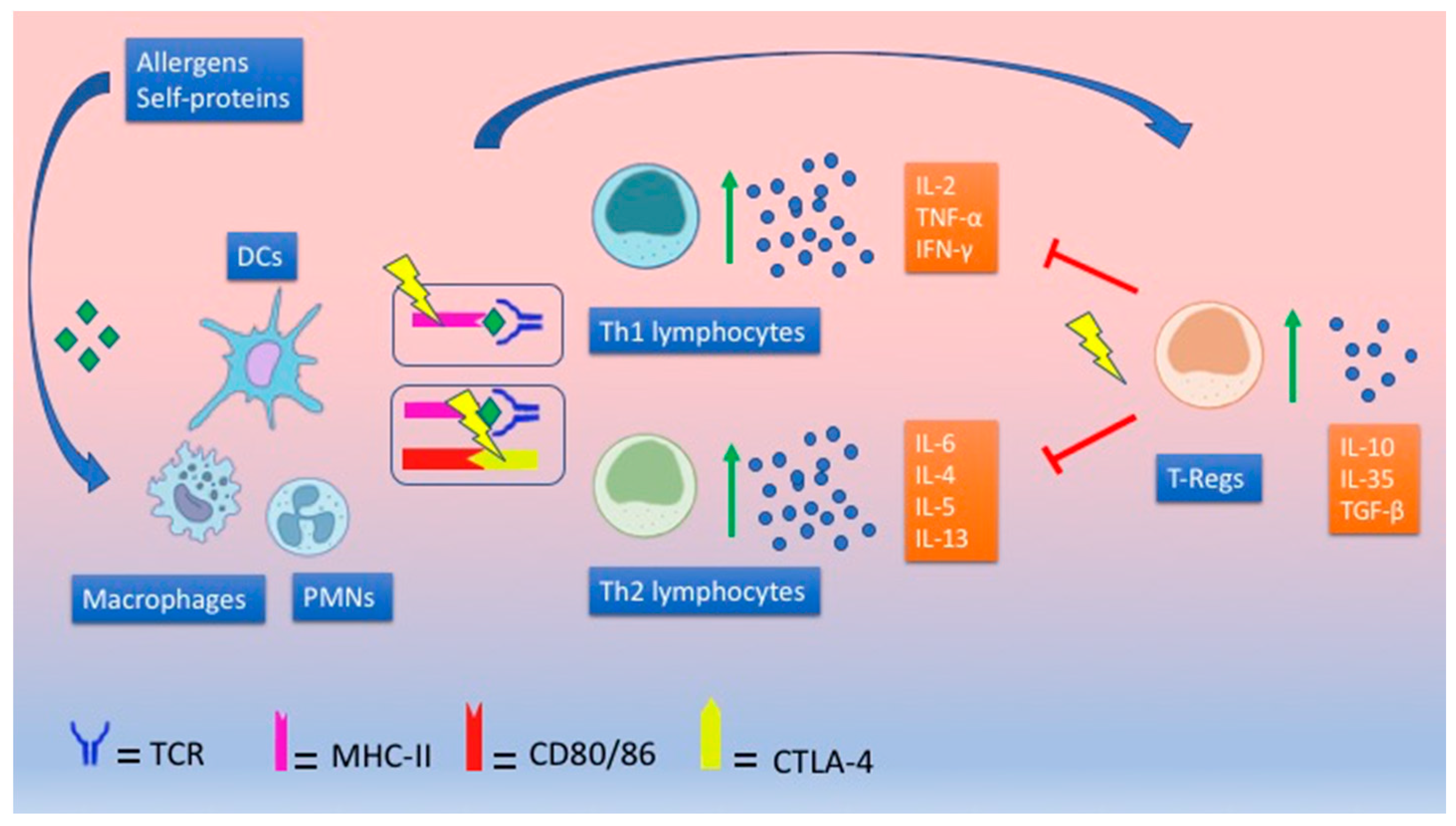 Ijms 22 05757 g002 Ijms 22 05757 g002