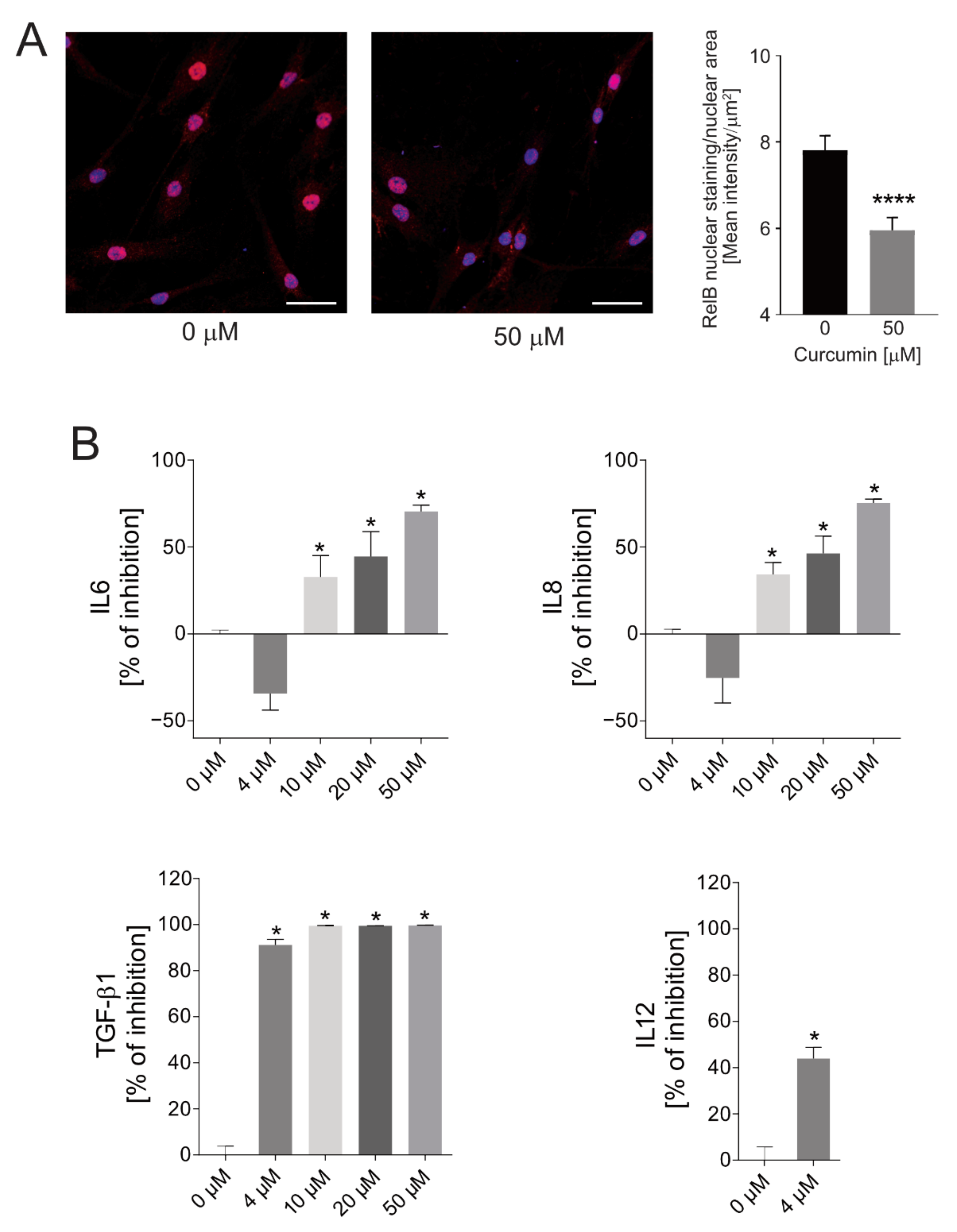Ijms 22 05760 g002 Ijms 22 05760 g002