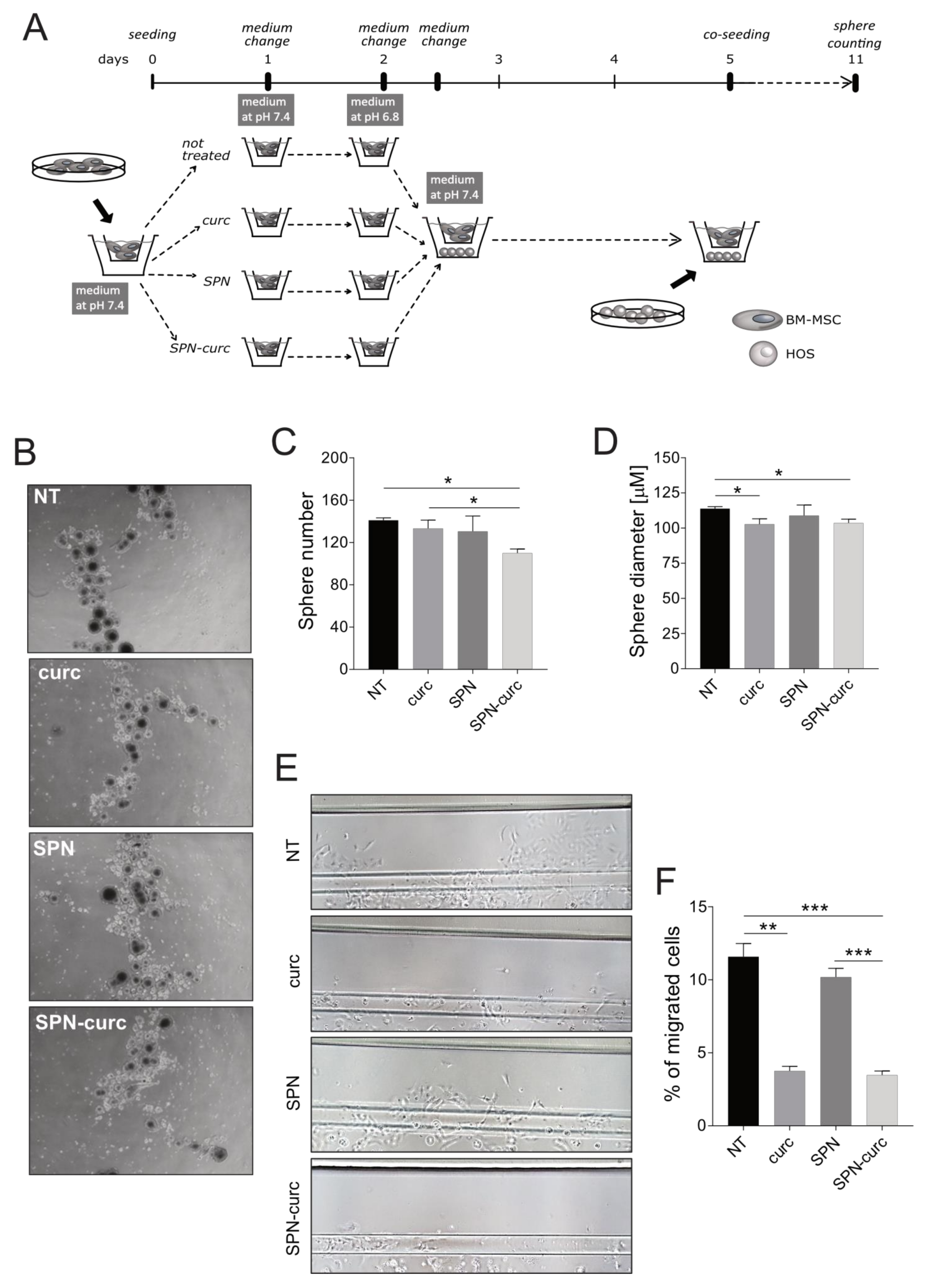 Ijms 22 05760 g006 Ijms 22 05760 g006