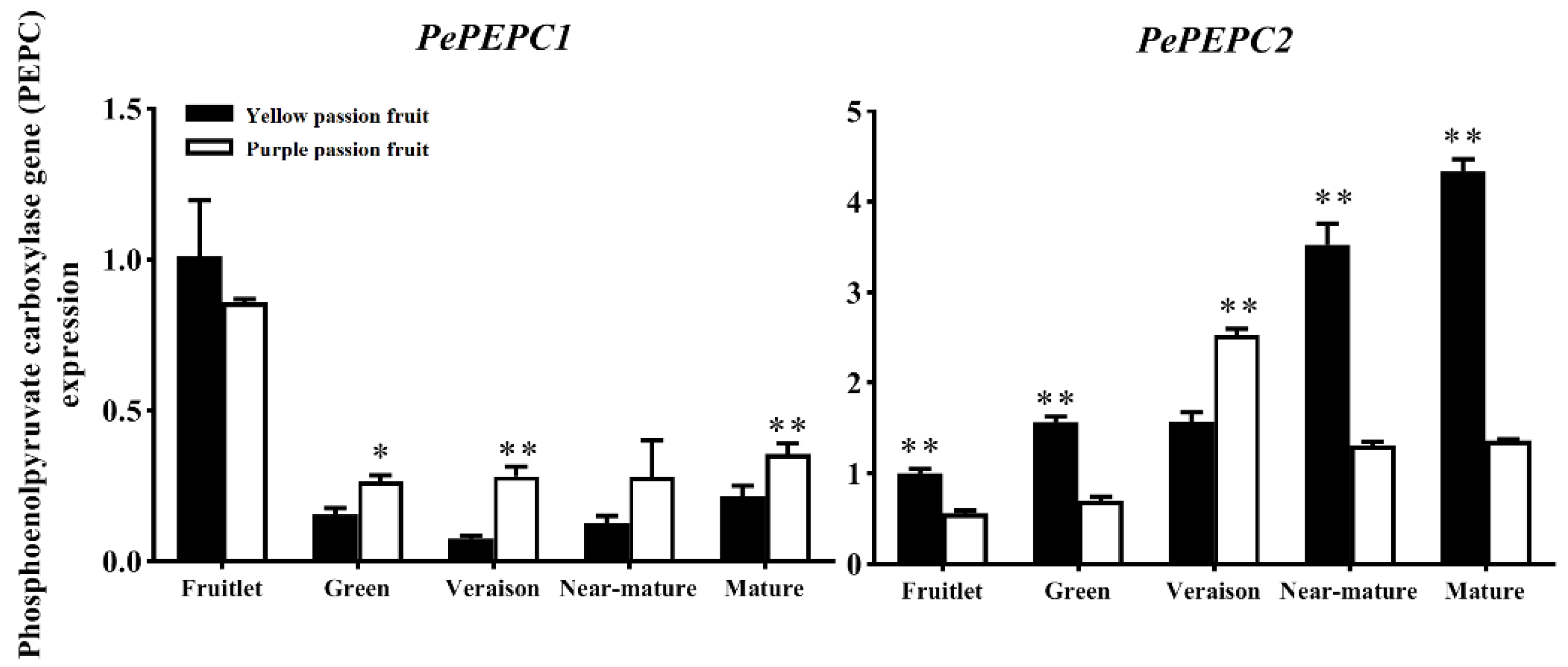 Ijms 22 05765 g004 Ijms 22 05765 g004