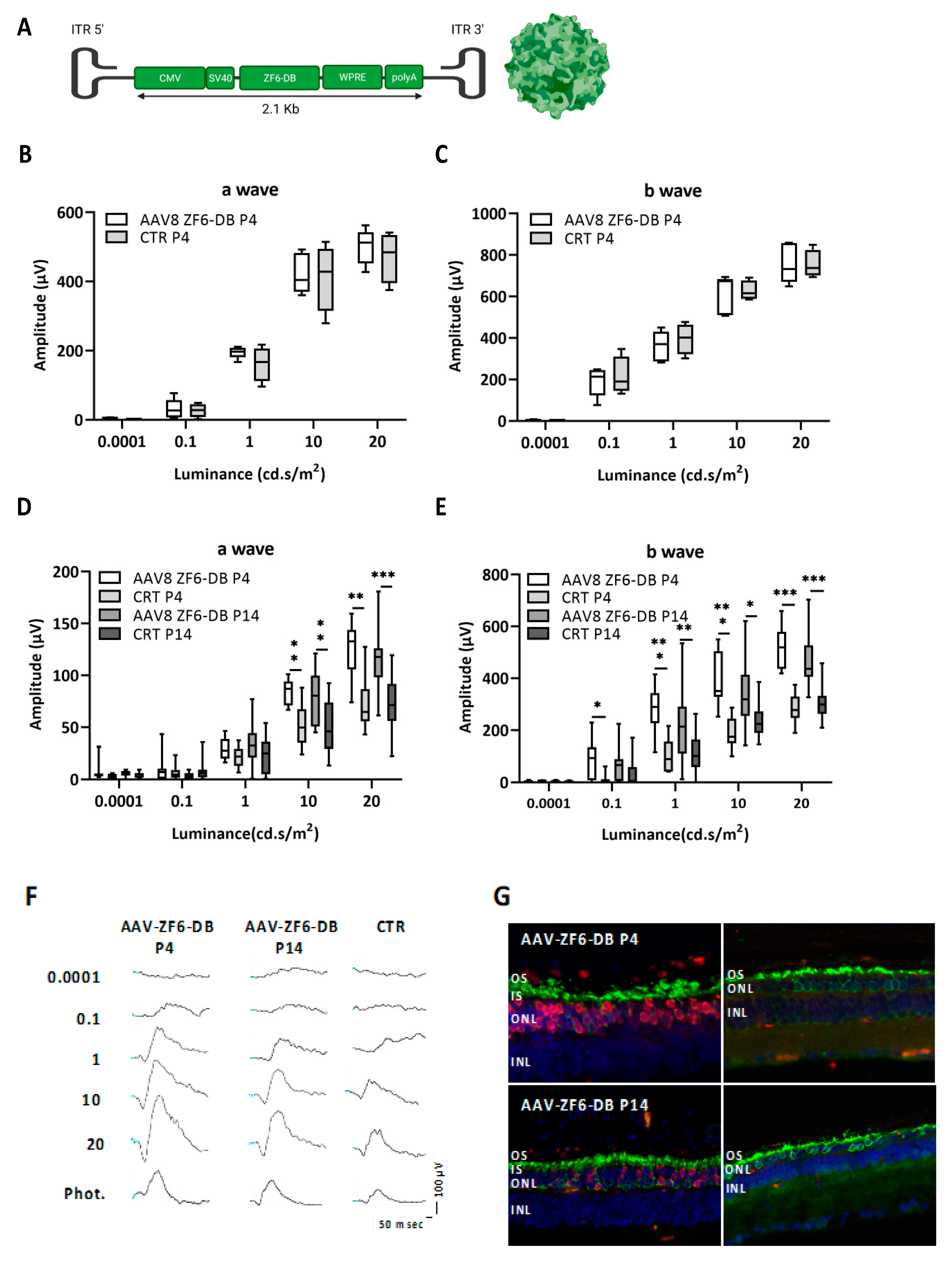 Ijms 22 05767 g001 Ijms 22 05767 g001