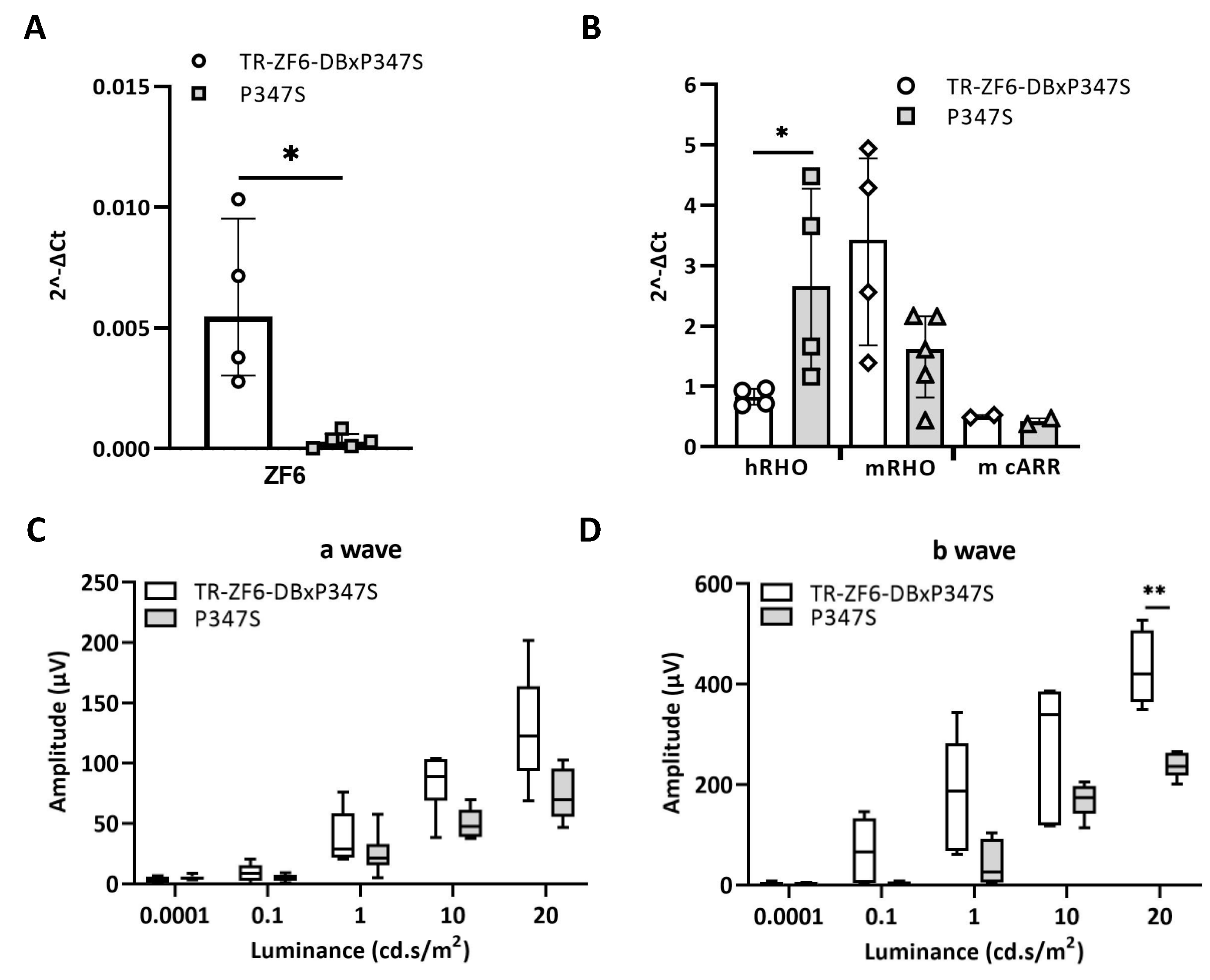 Ijms 22 05767 g003a Ijms 22 05767 g003a
