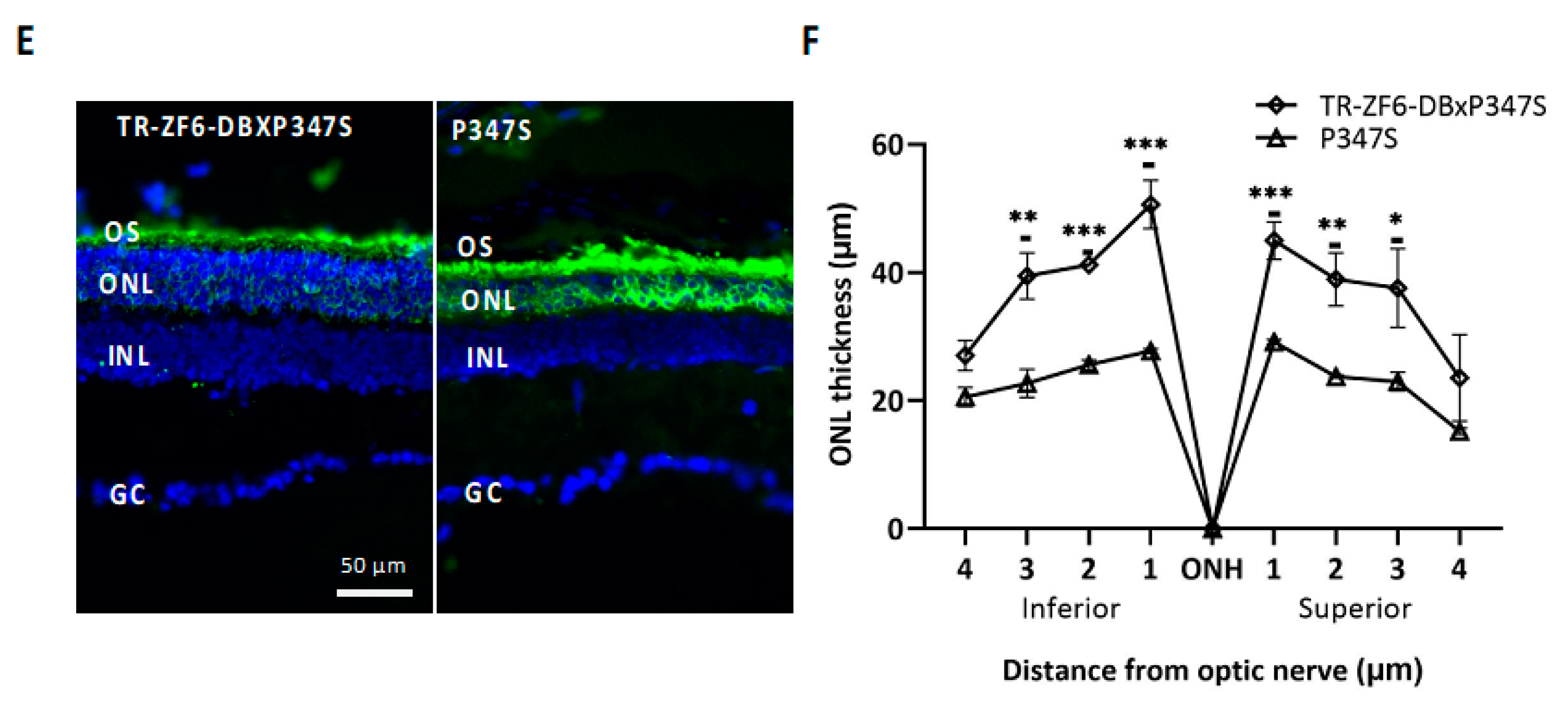 Ijms 22 05767 g003b Ijms 22 05767 g003b
