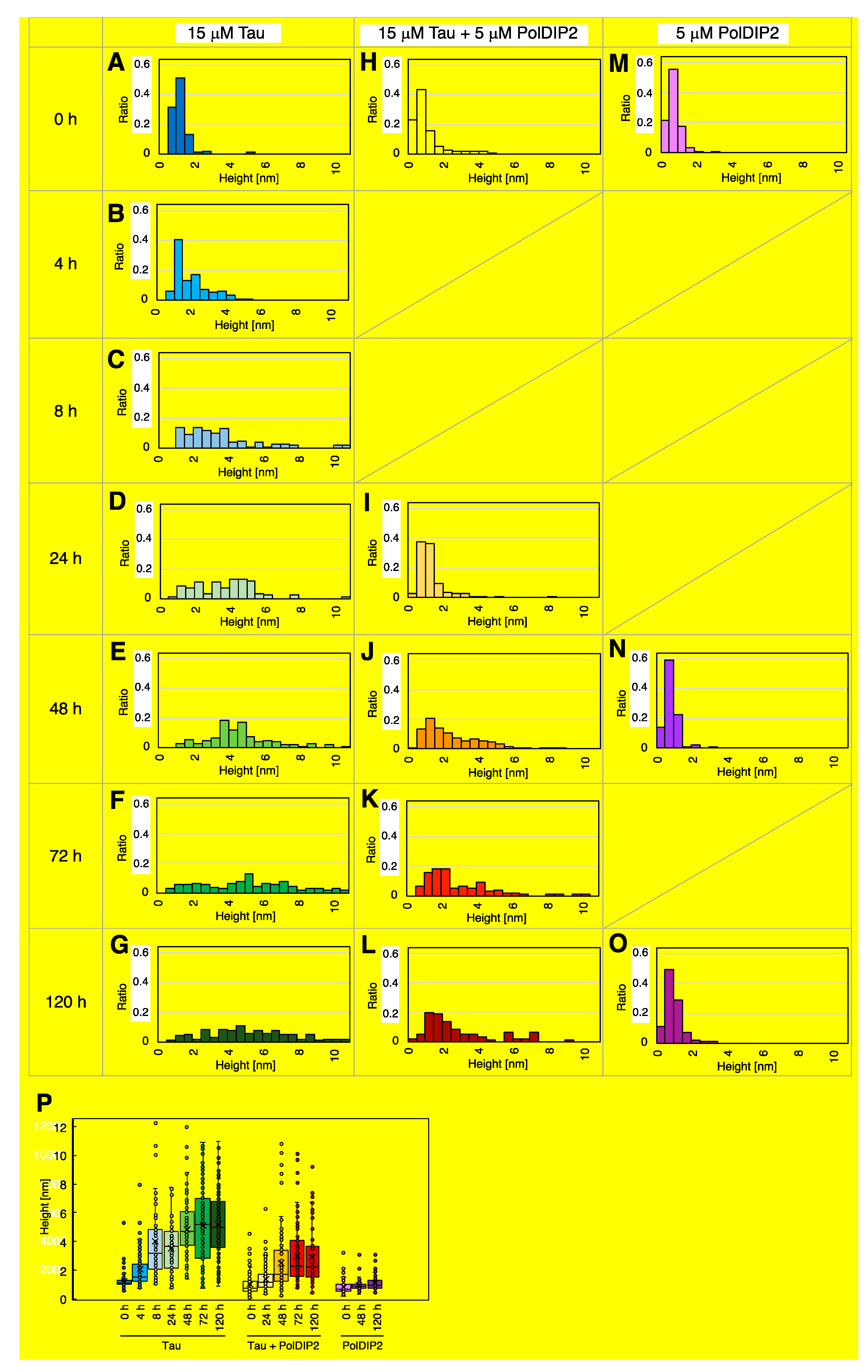 Ijms 22 05768 g004 Ijms 22 05768 g004