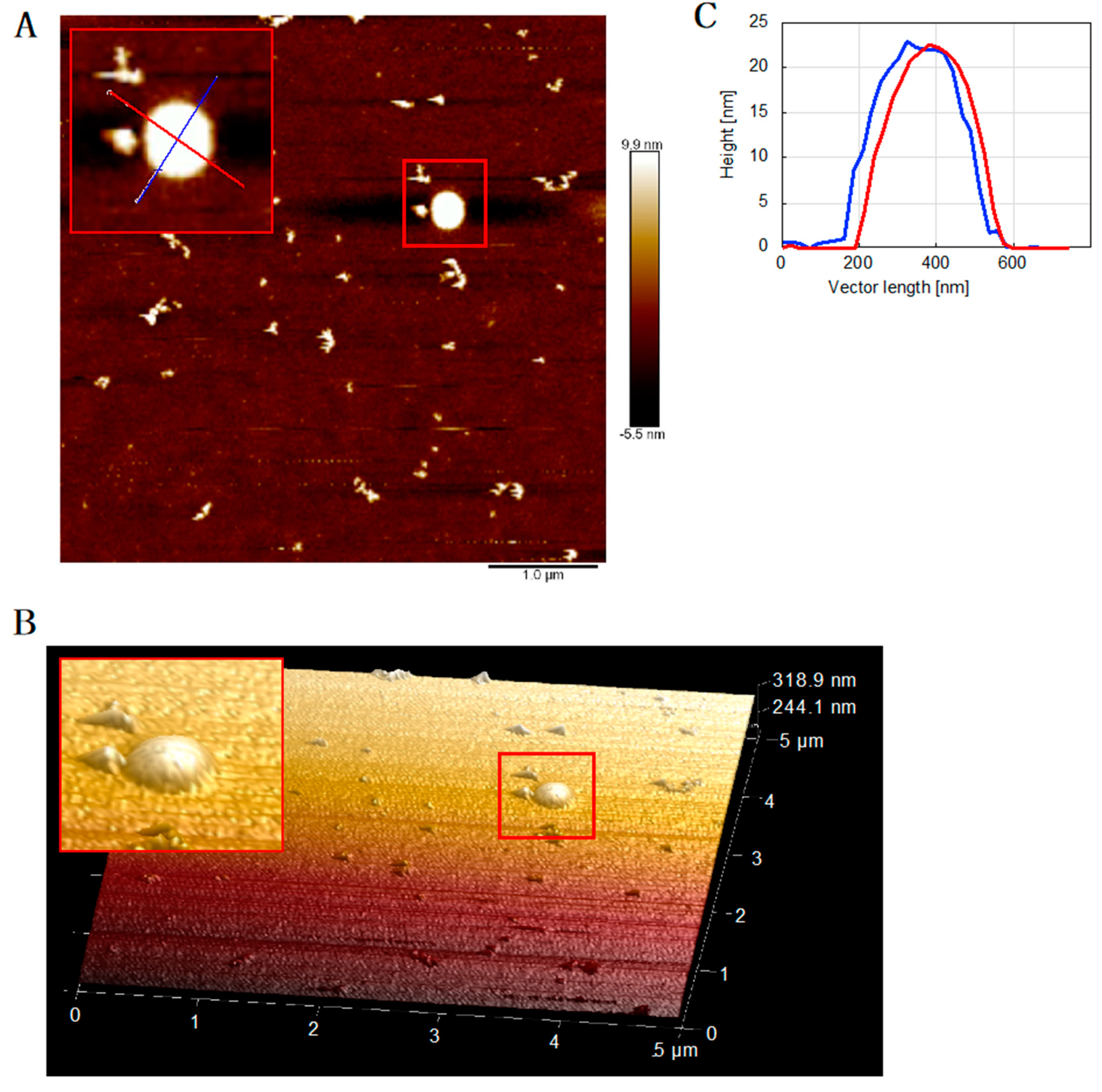 Ijms 22 05768 g005 Ijms 22 05768 g005