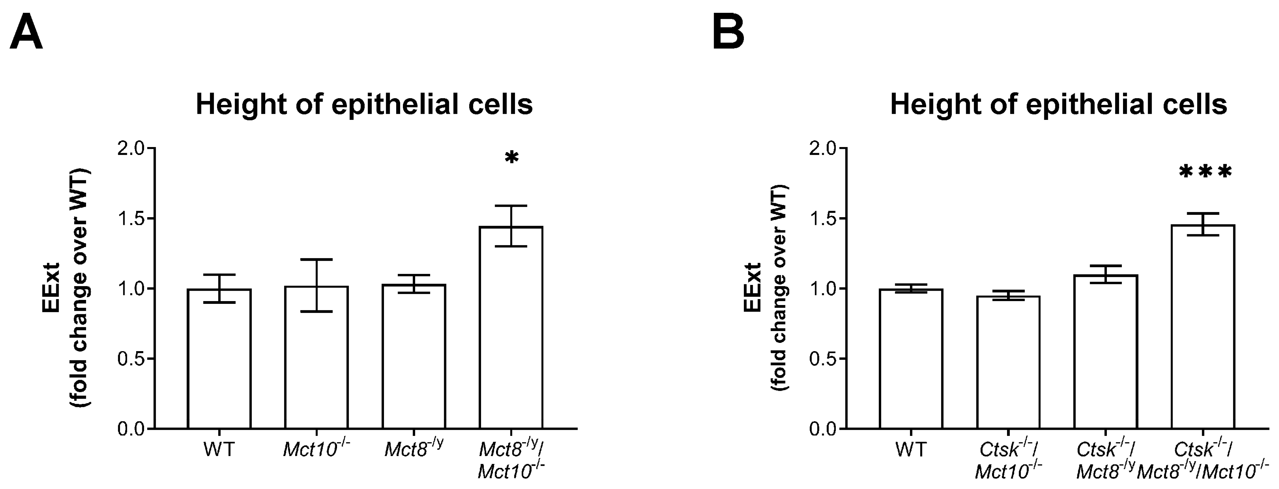 Ijms 22 05776 g005 Ijms 22 05776 g005