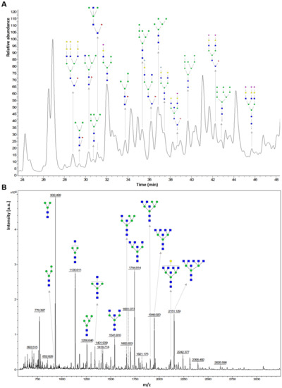 Frontiers  Unraveling cross-reactivity of anti-glycan IgG