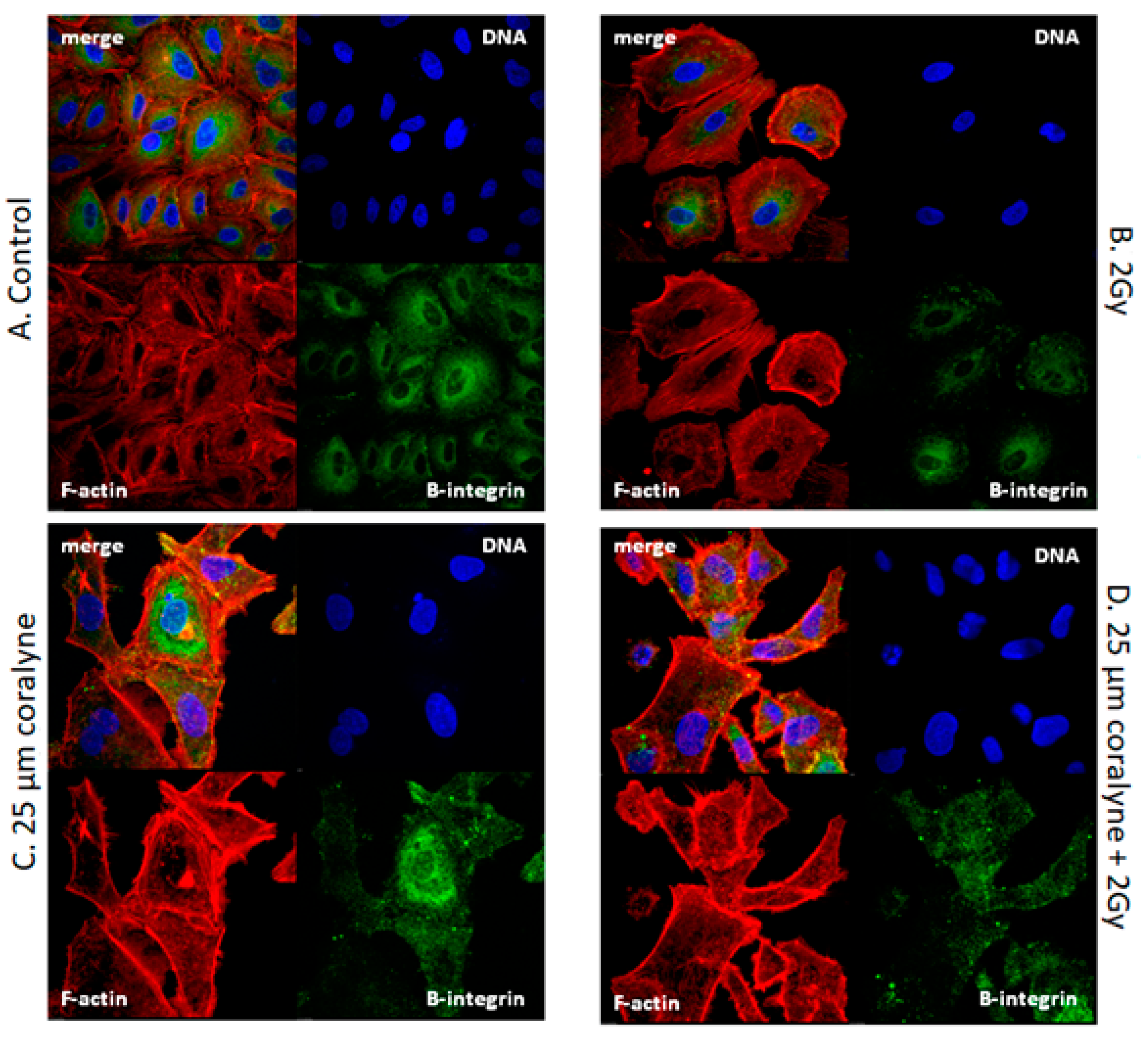 Ijms 22 05791 g011 Ijms 22 05791 g011