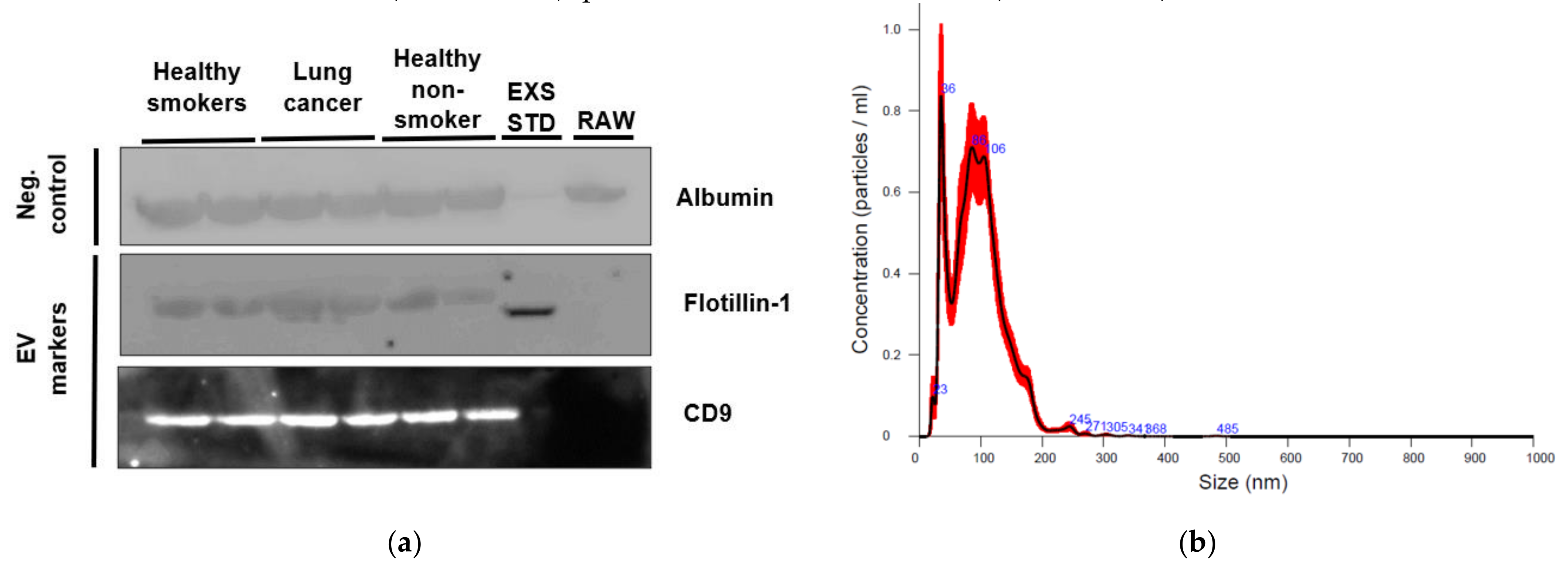 Ijms 22 05803 g001 Ijms 22 05803 g001