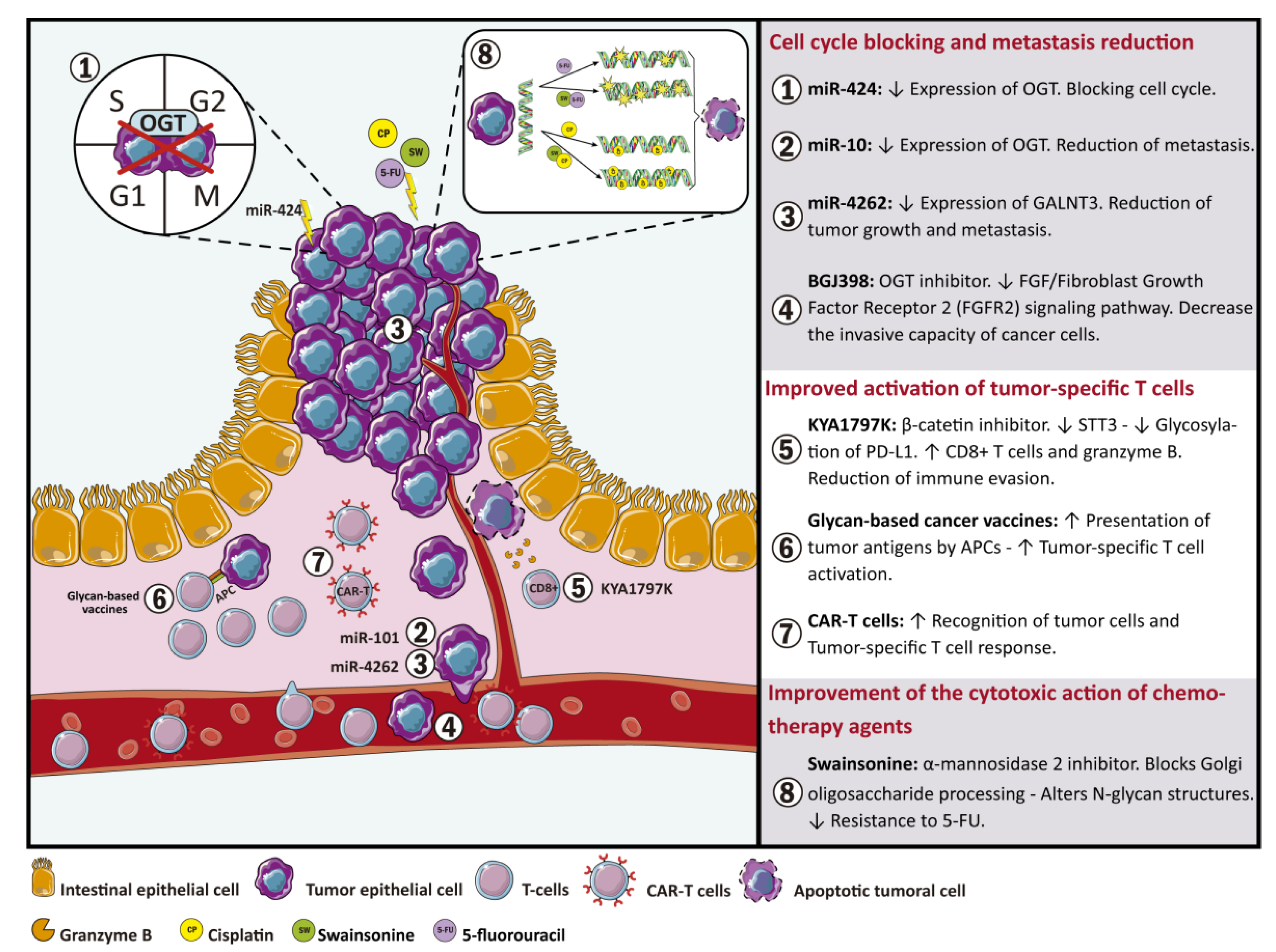 Ijms 22 05822 g001 Ijms 22 05822 g001