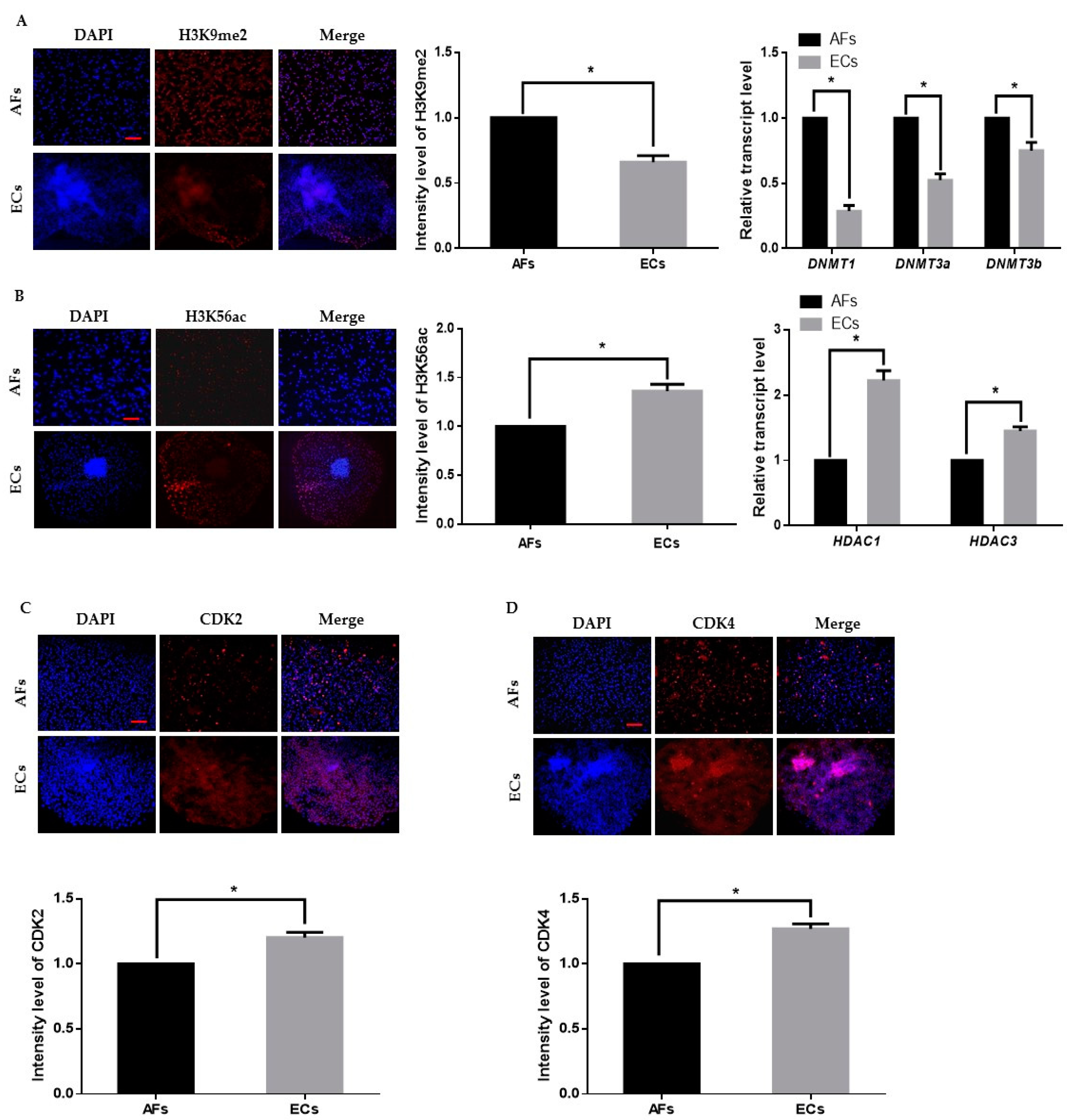 Ijms 22 05841 g001 Ijms 22 05841 g001