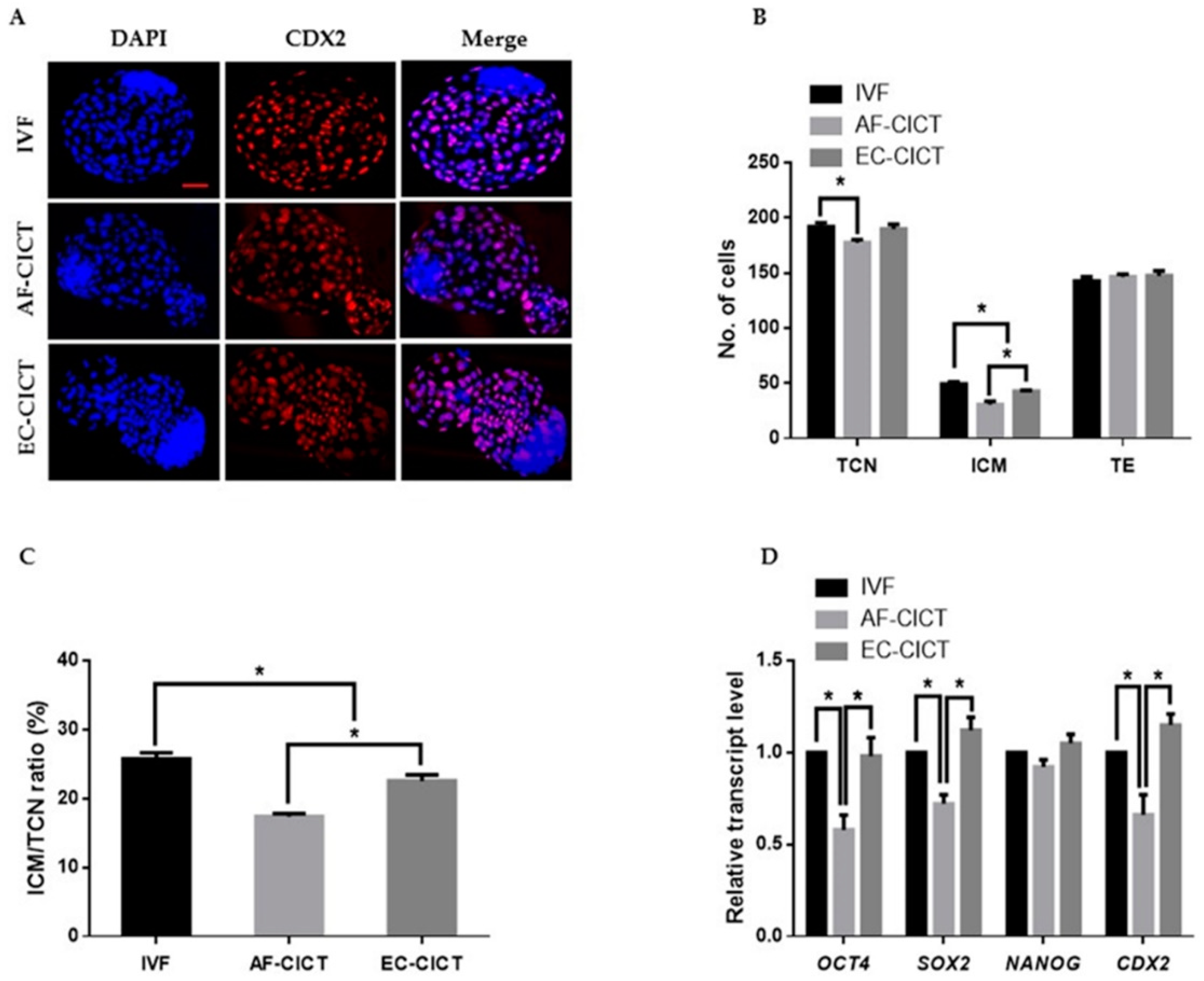 Ijms 22 05841 g002 Ijms 22 05841 g002