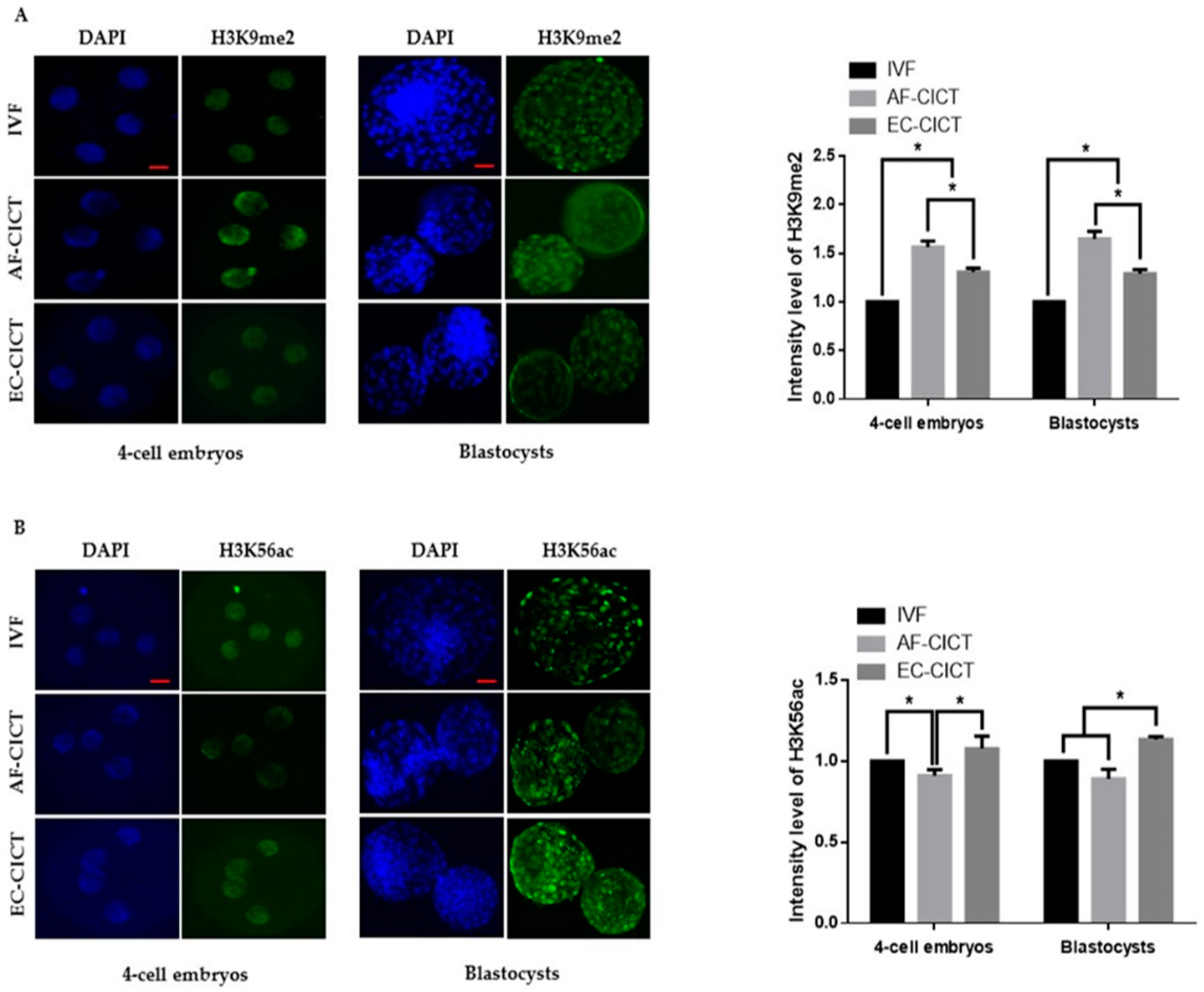 Ijms 22 05841 g004 Ijms 22 05841 g004