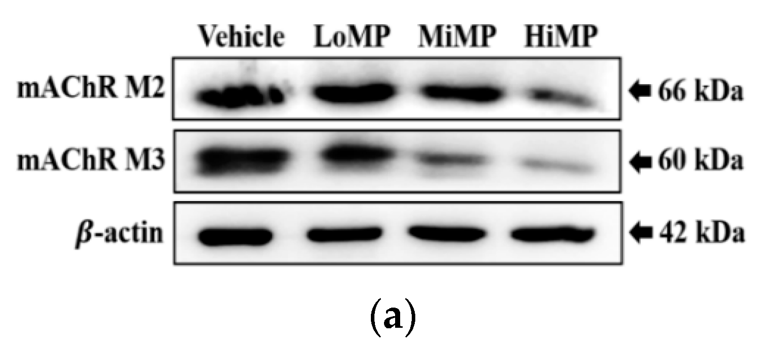 Ijms 22 05845 g007a Ijms 22 05845 g007a