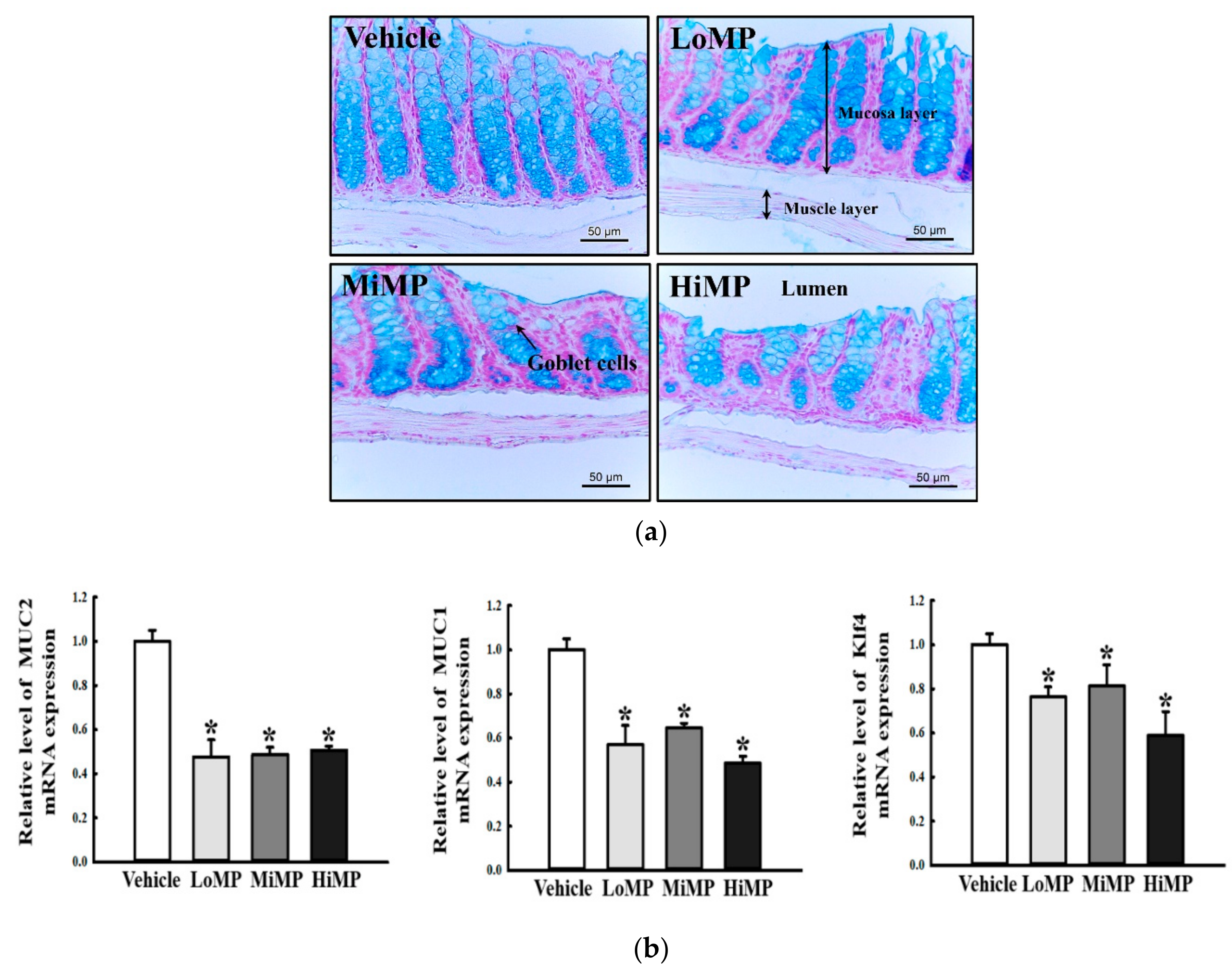 Ijms 22 05845 g008 Ijms 22 05845 g008