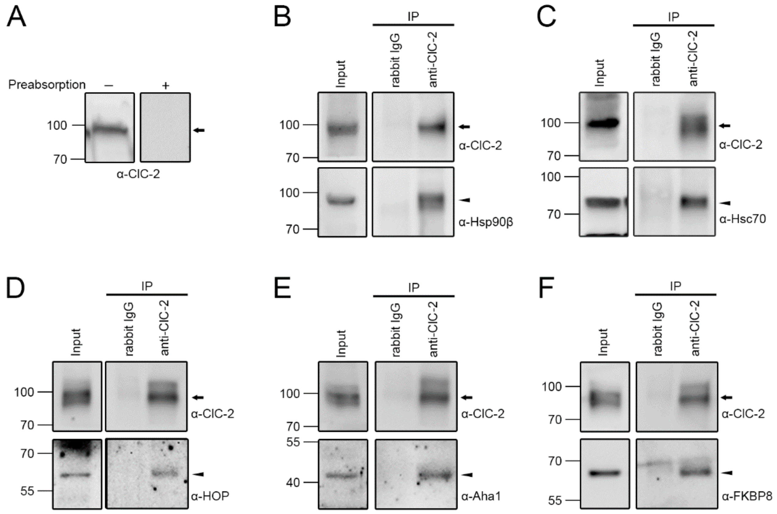Ijms 22 05859 g001 Ijms 22 05859 g001