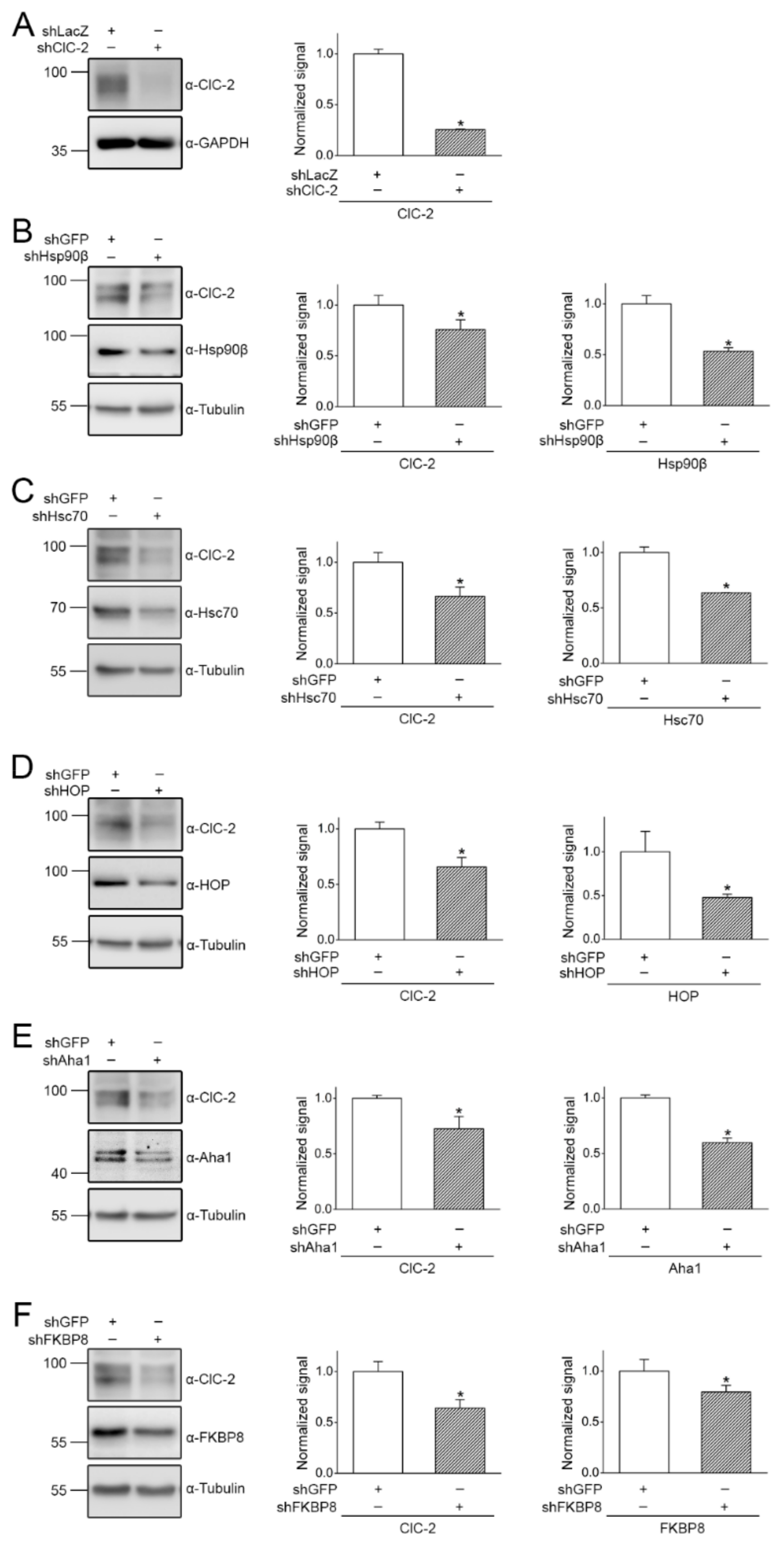Ijms 22 05859 g003 Ijms 22 05859 g003