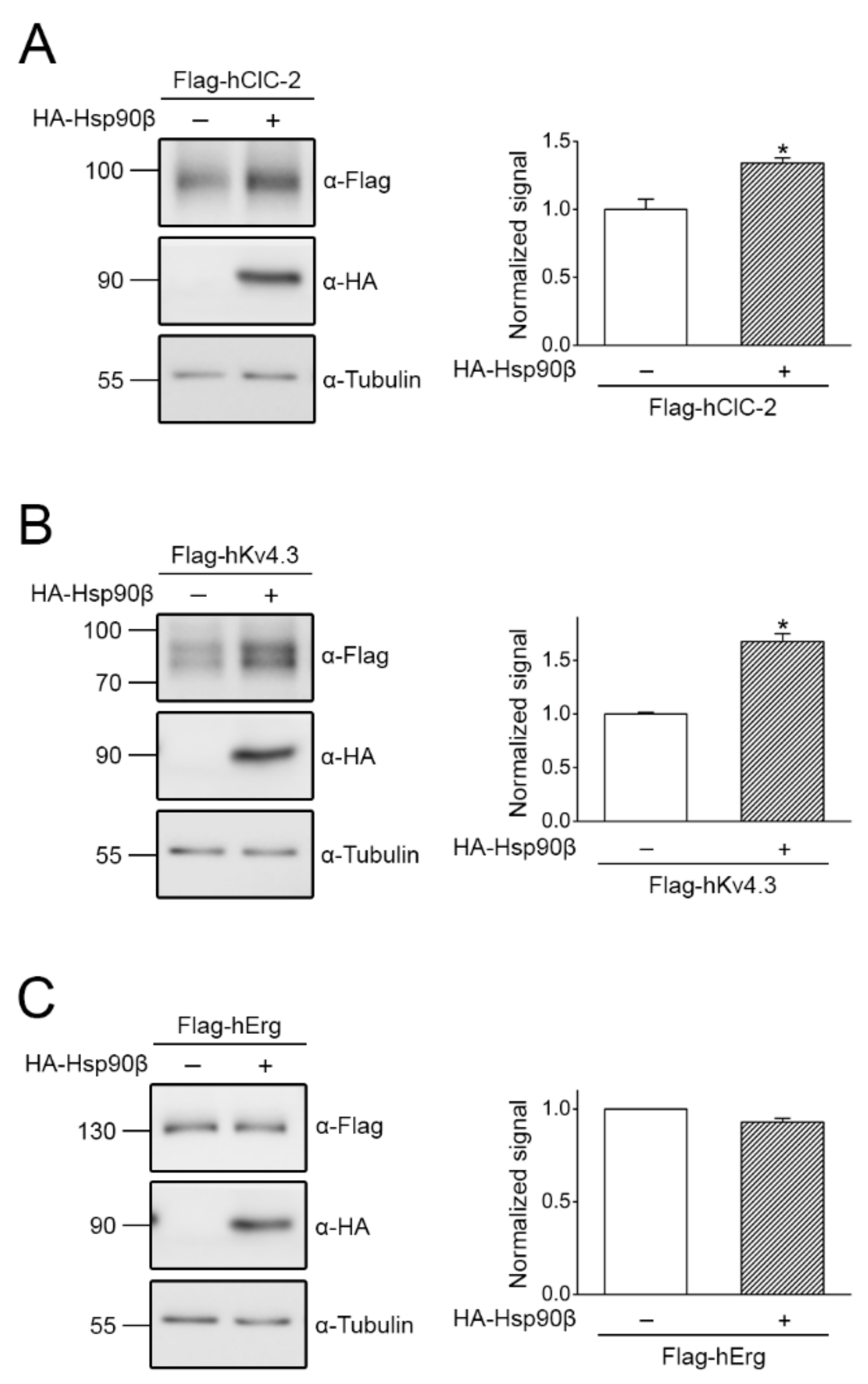 Ijms 22 05859 g005 Ijms 22 05859 g005