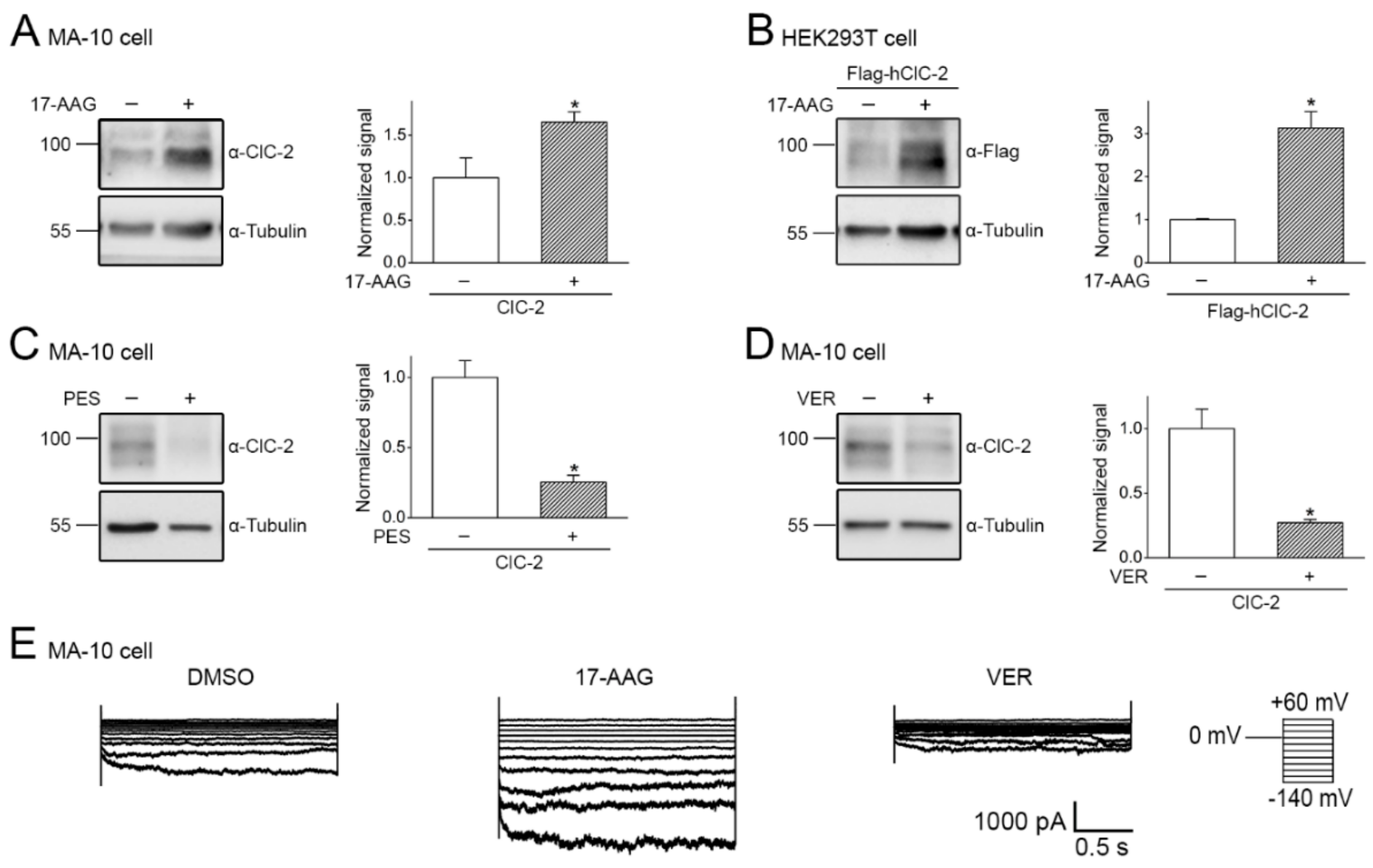 Ijms 22 05859 g006 Ijms 22 05859 g006