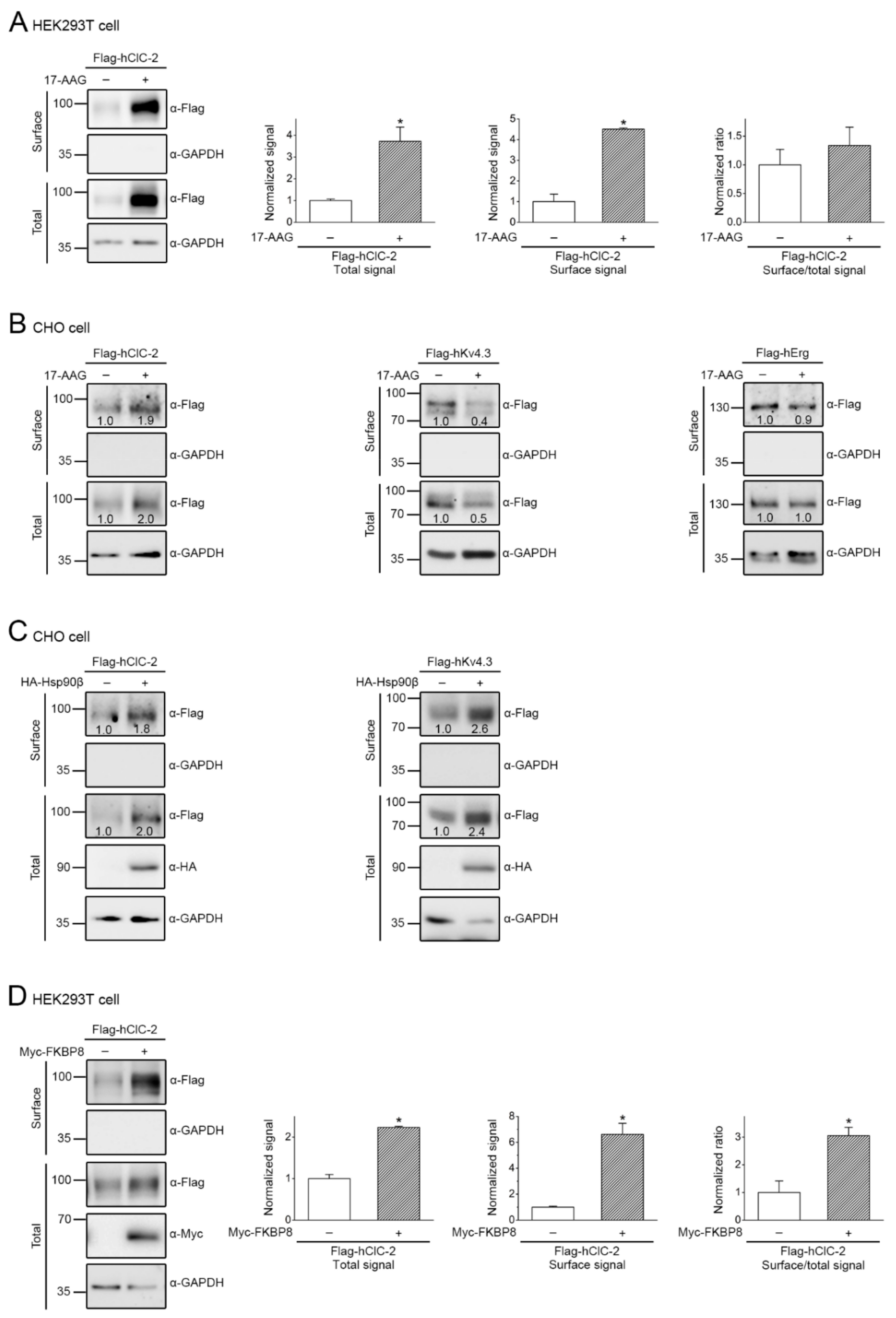 Ijms 22 05859 g007 Ijms 22 05859 g007