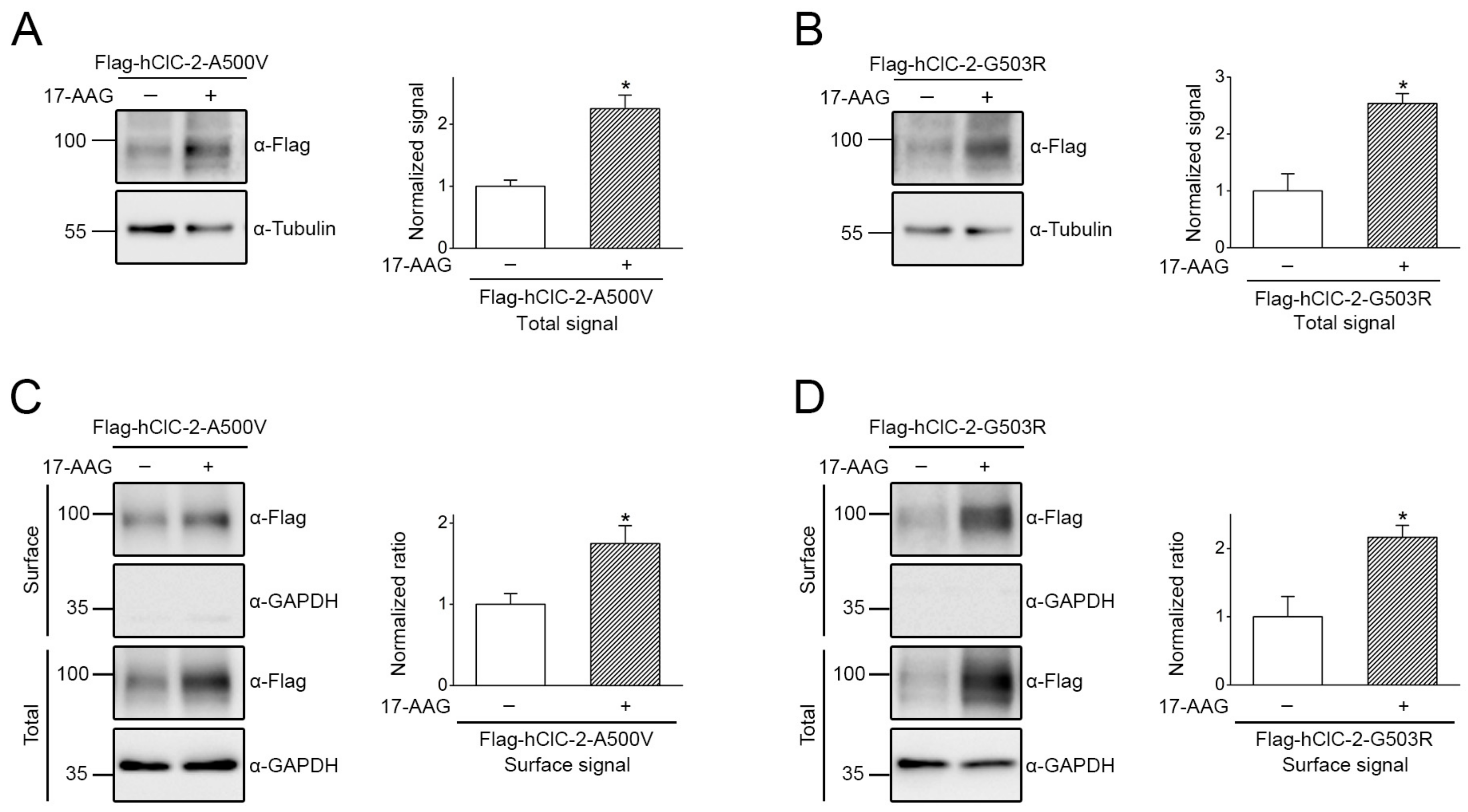 Ijms 22 05859 g009 Ijms 22 05859 g009