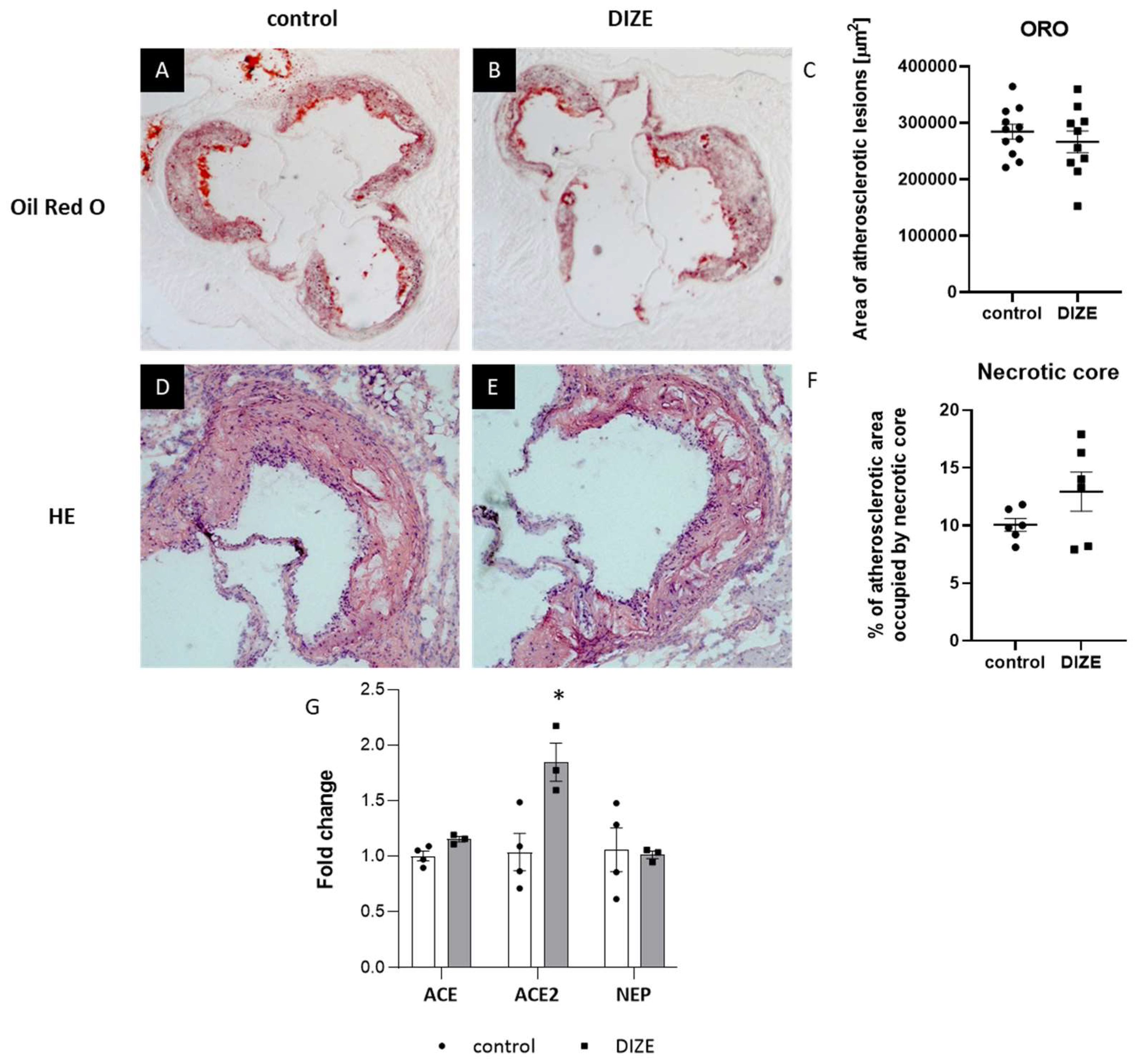 Ijms 22 05861 g001 Ijms 22 05861 g001