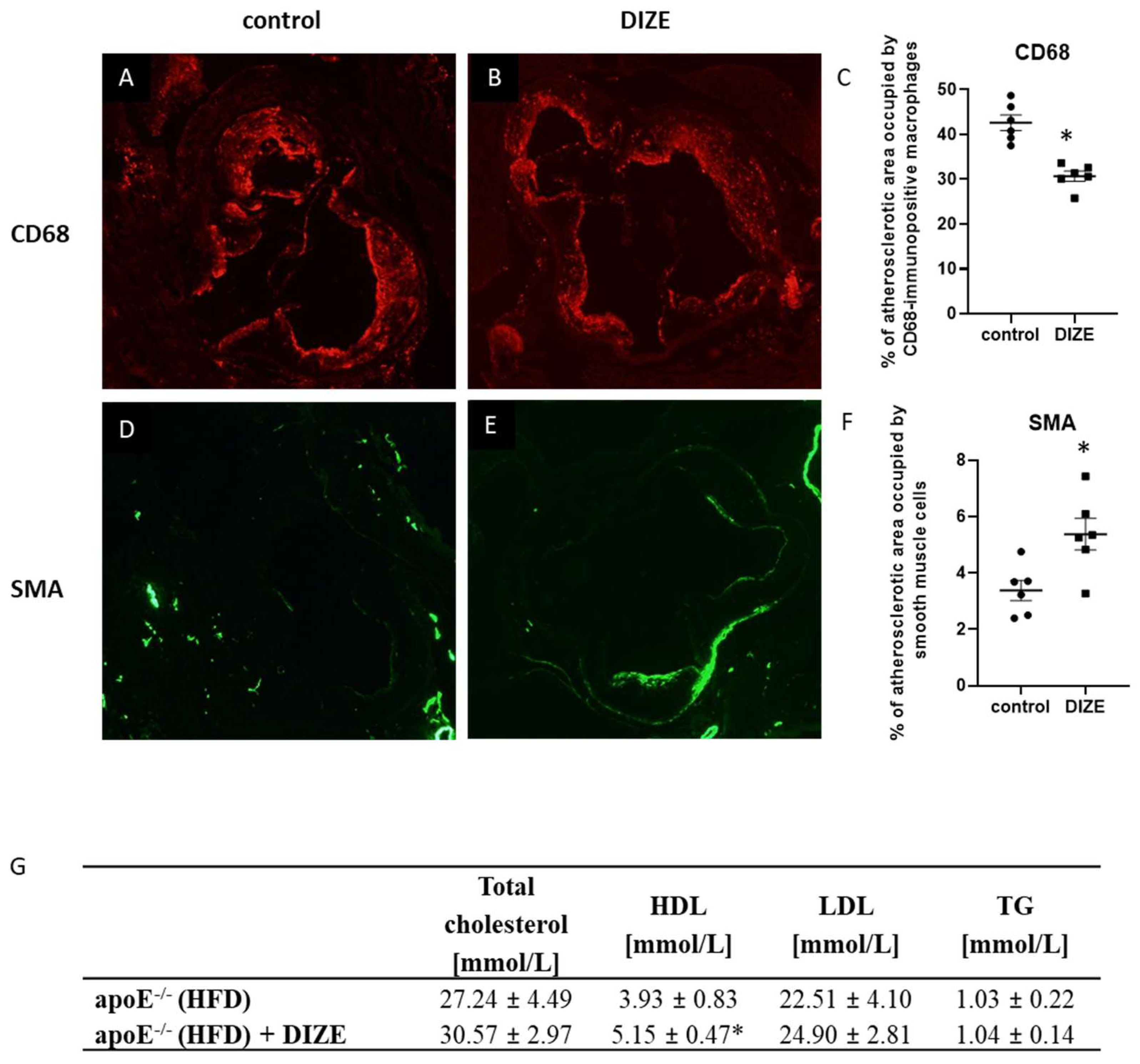Ijms 22 05861 g002 Ijms 22 05861 g002
