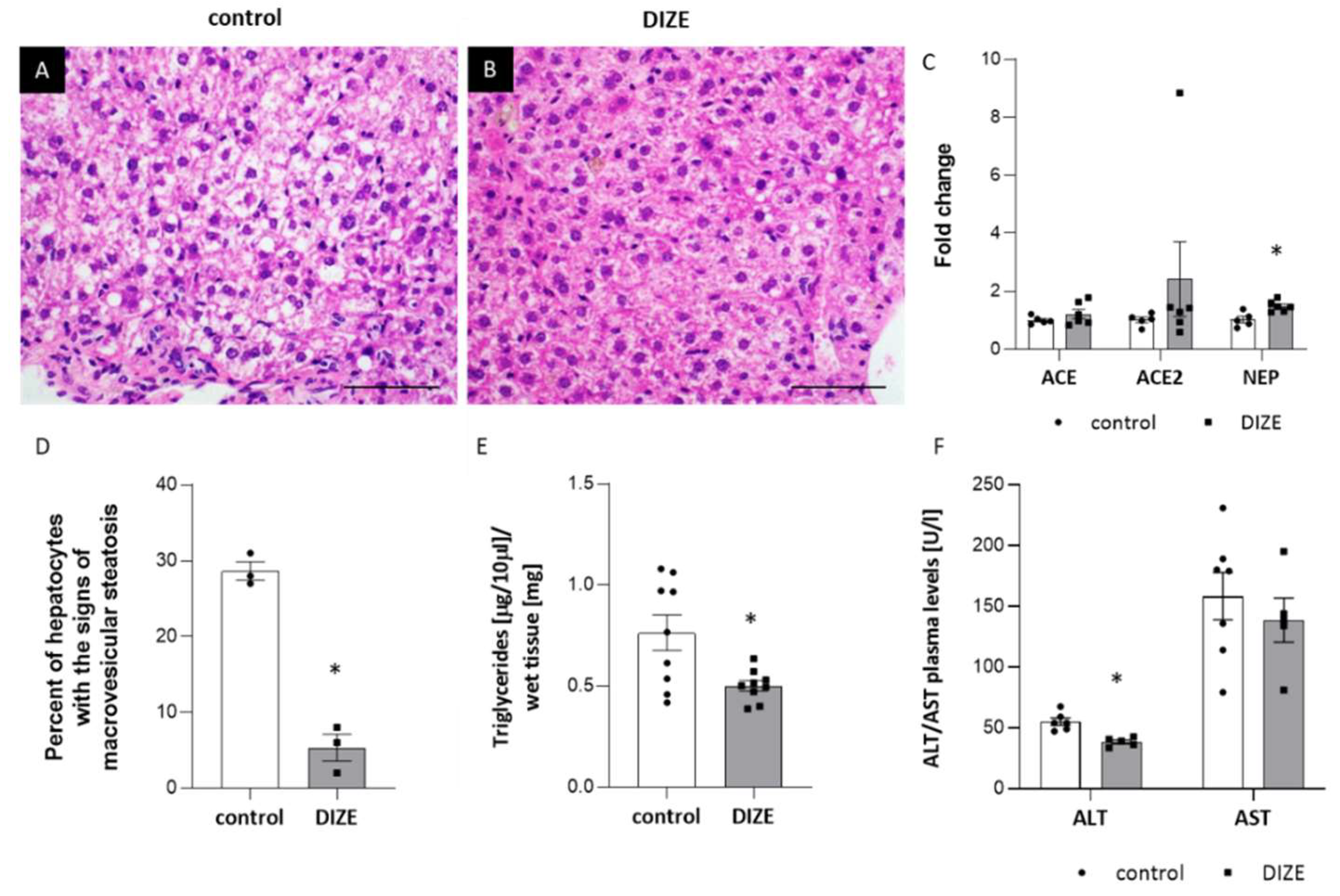 Ijms 22 05861 g005 Ijms 22 05861 g005
