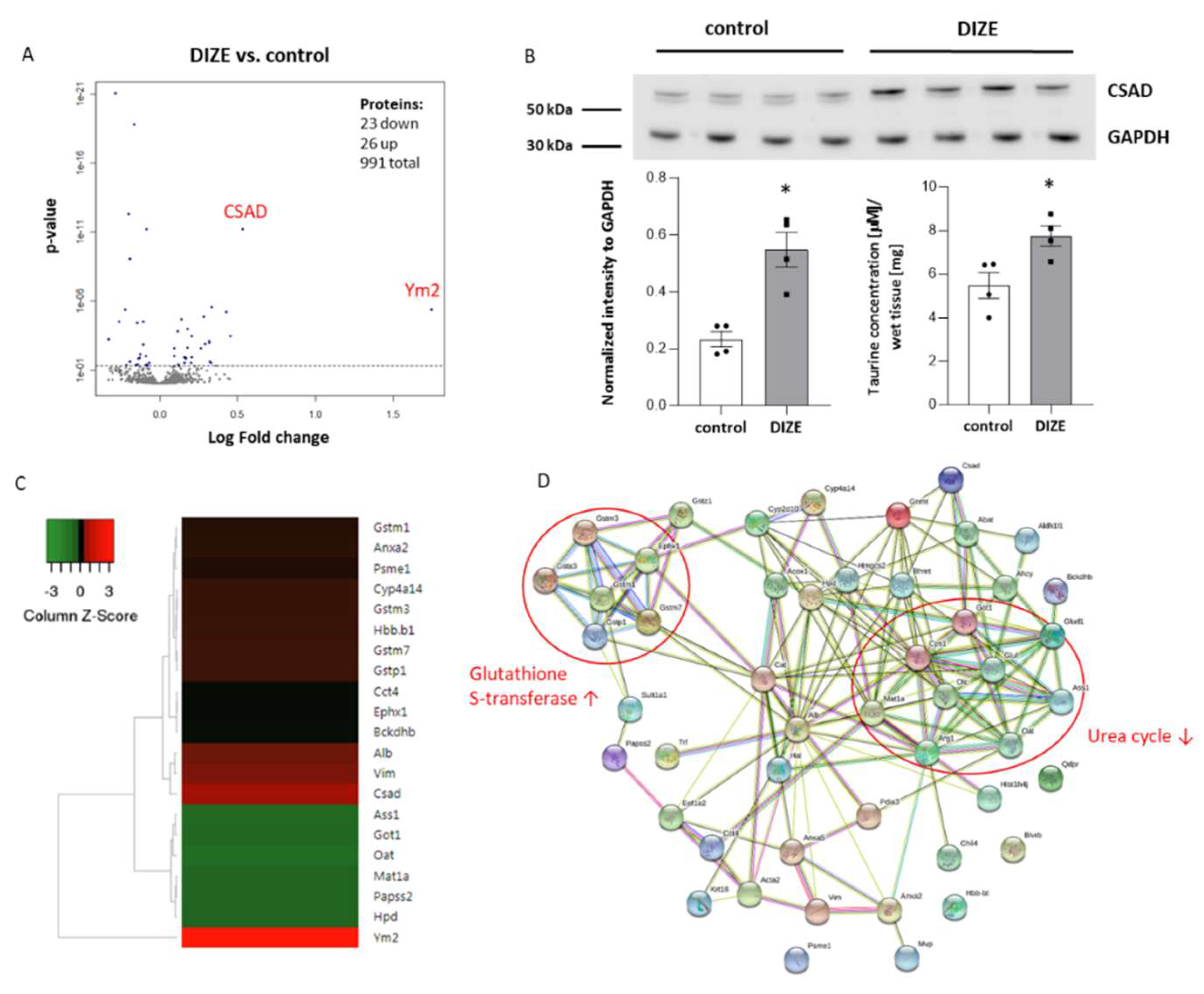 Ijms 22 05861 g006 Ijms 22 05861 g006