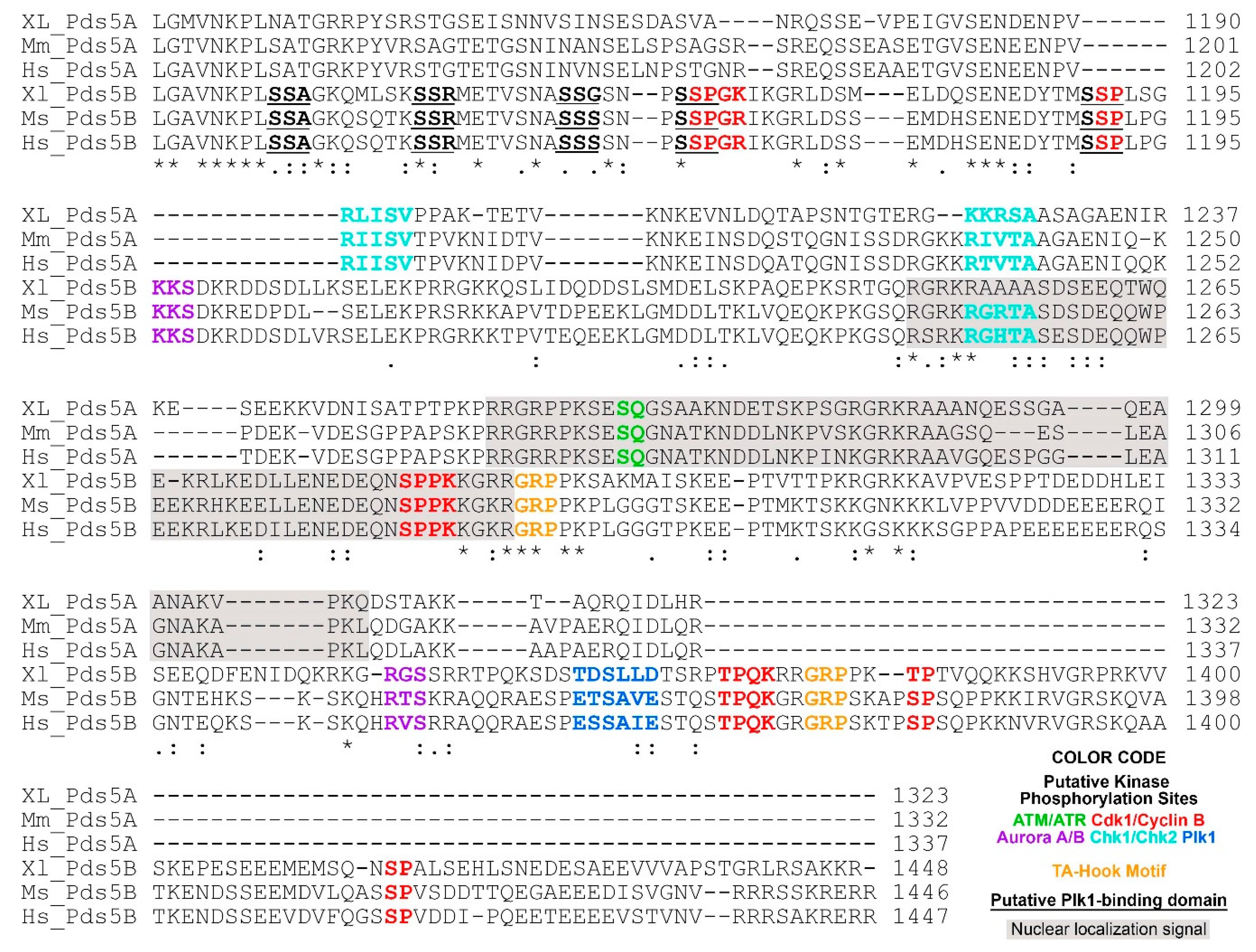 Ijms 22 05868 g002 Ijms 22 05868 g002