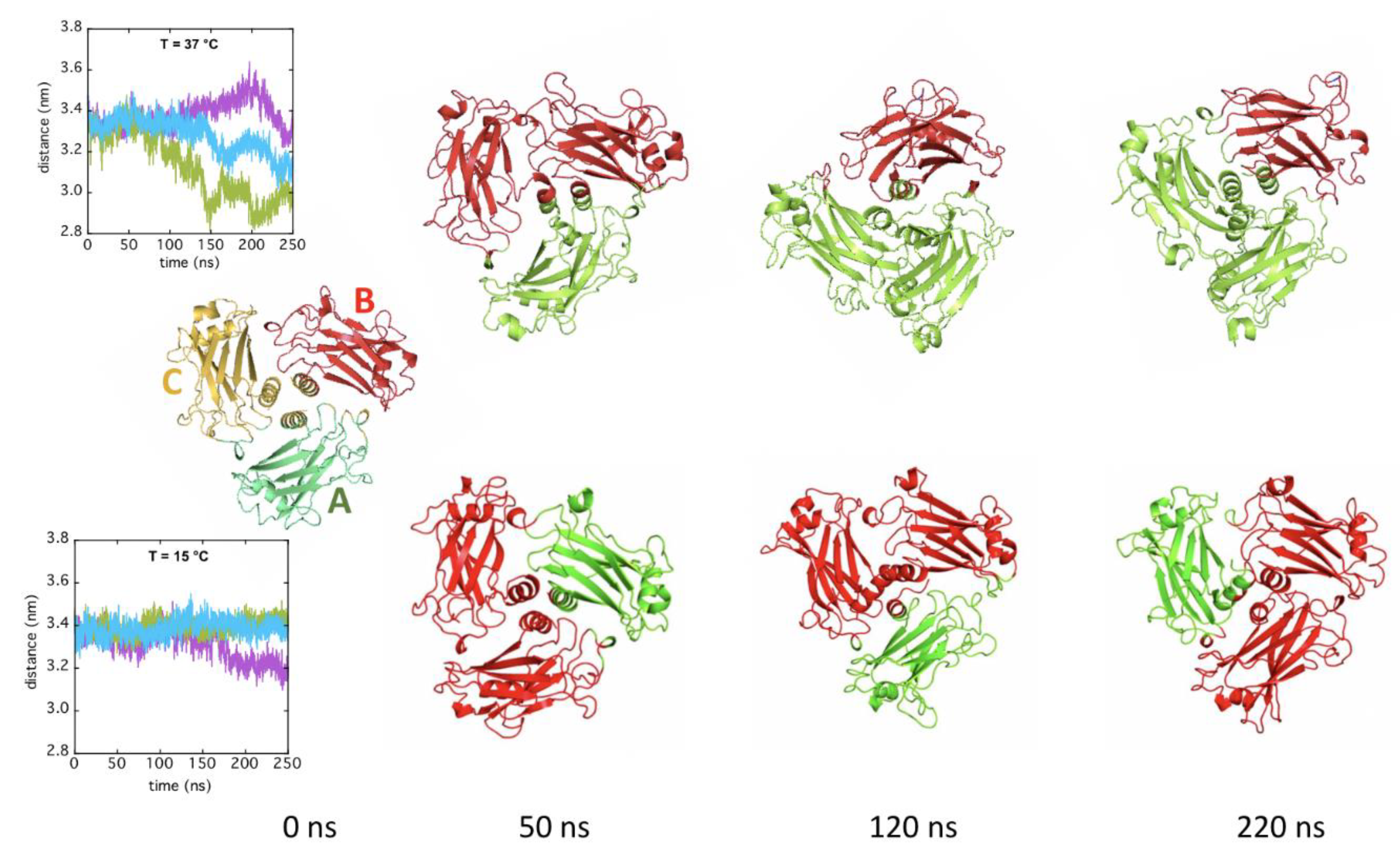 Ijms 22 05871 g006 Ijms 22 05871 g006