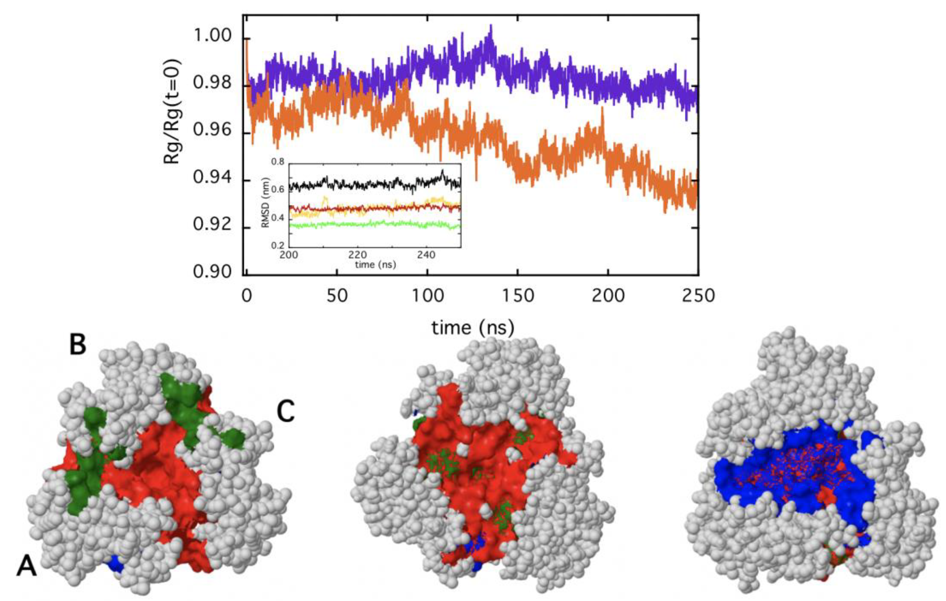 Ijms 22 05871 g008 Ijms 22 05871 g008